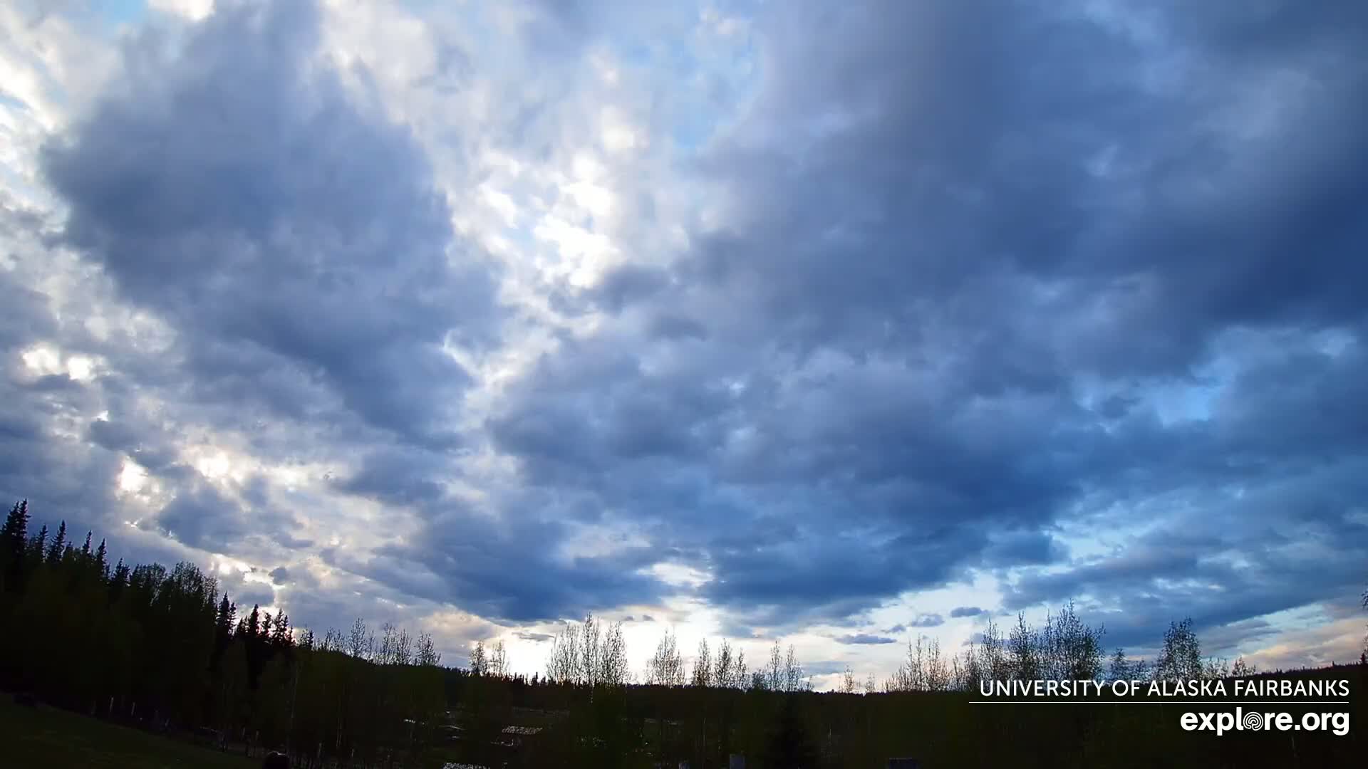 University of Alaska, Fairbanks North Star Northern Lights / Aurora Borealis / Stars View Live Cam - Faibanks, Fairbanks North Star, Alaska, USA