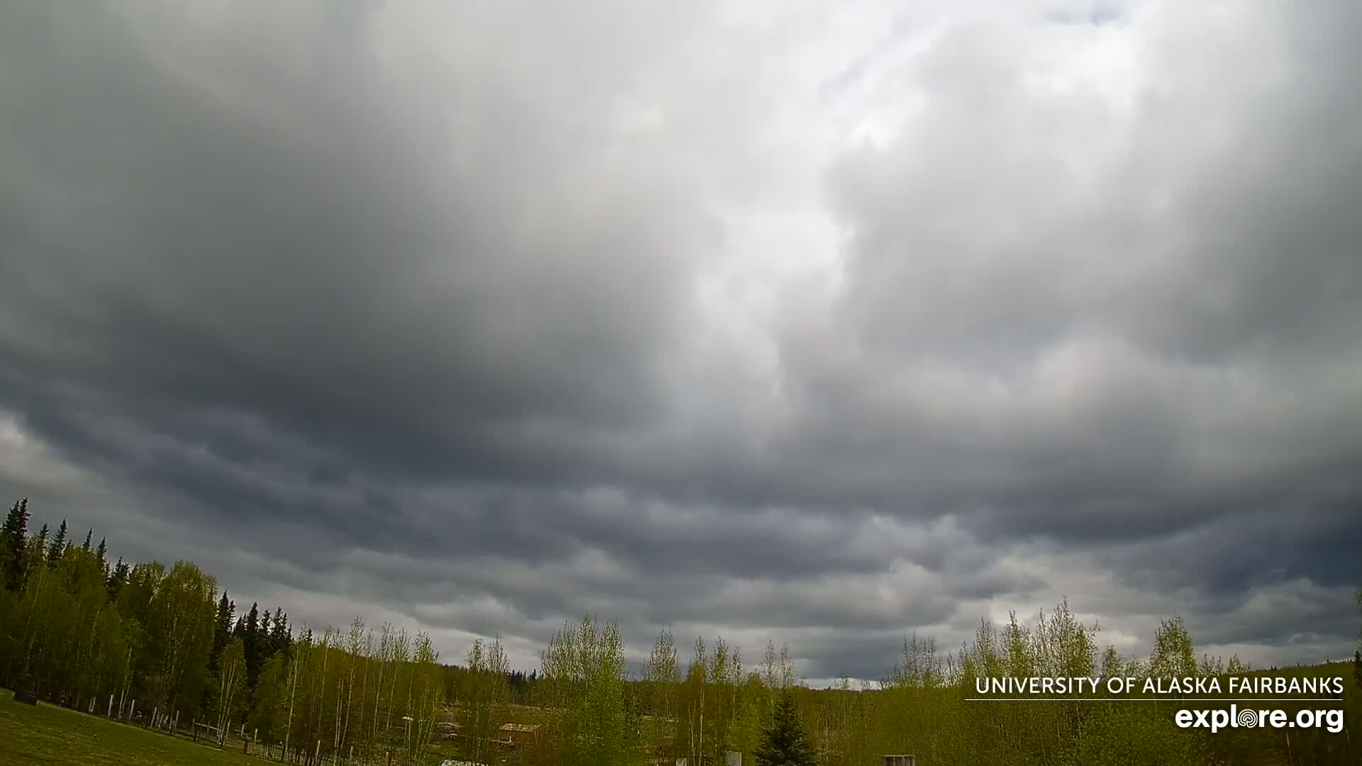 University of Alaska, Fairbanks North Star Northern Lights / Aurora Borealis / Stars View Live Cam - Faibanks, Fairbanks North Star, Alaska, USA