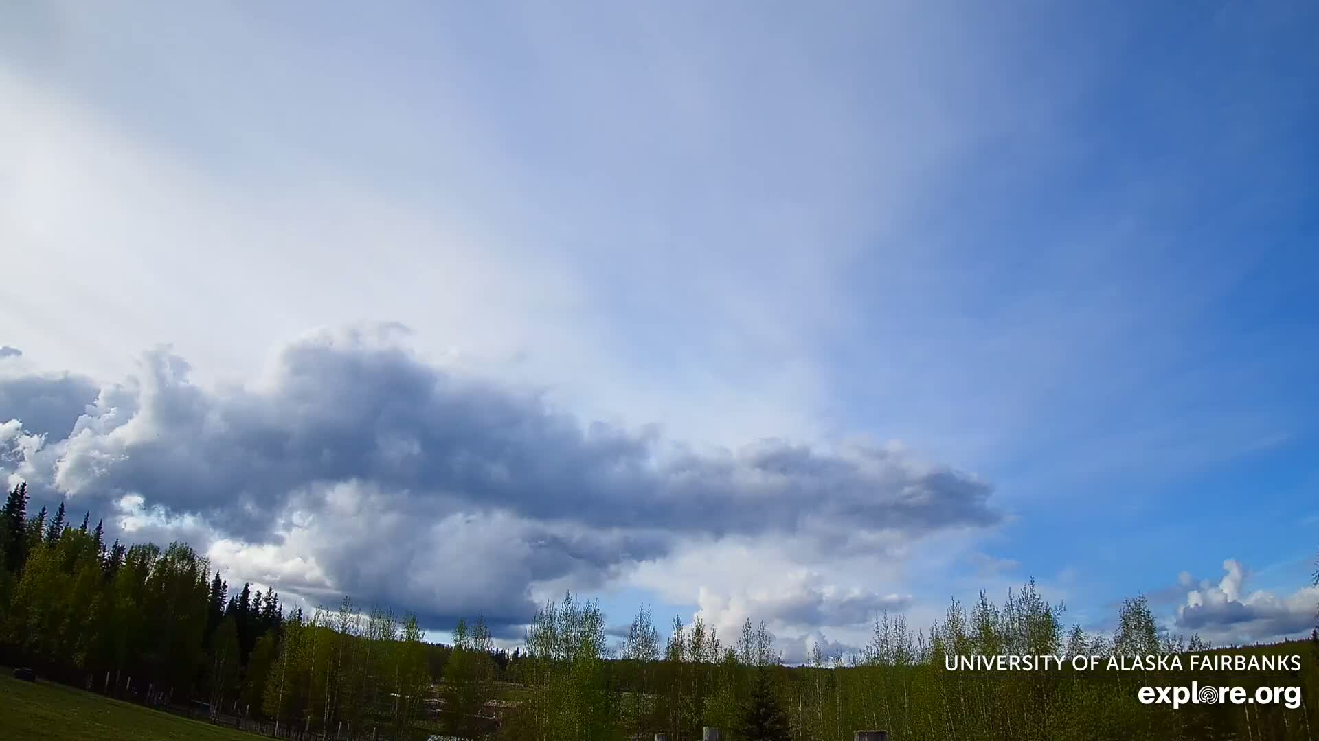 University of Alaska, Fairbanks North Star Northern Lights / Aurora Borealis / Stars View Live Cam - Faibanks, Fairbanks North Star, Alaska, USA