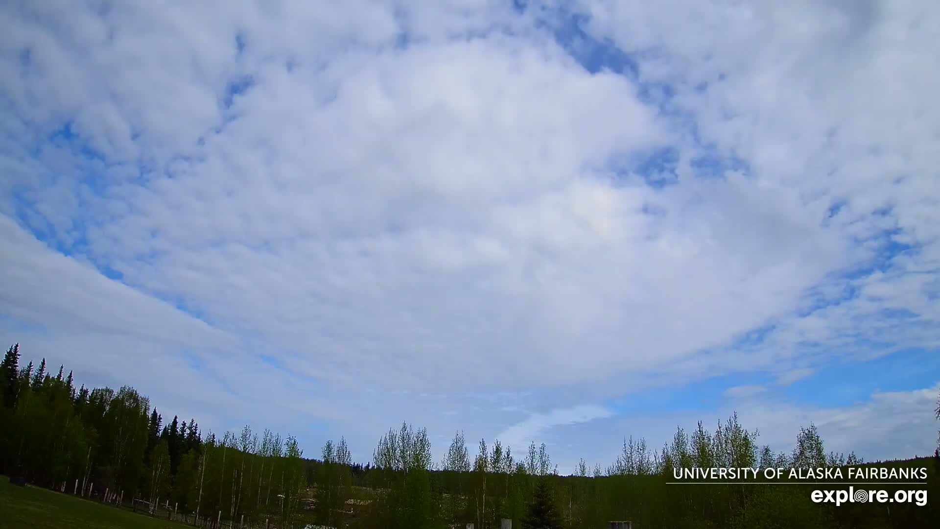 A mostly cloudy sky with patches of blue is over a line of green trees.
