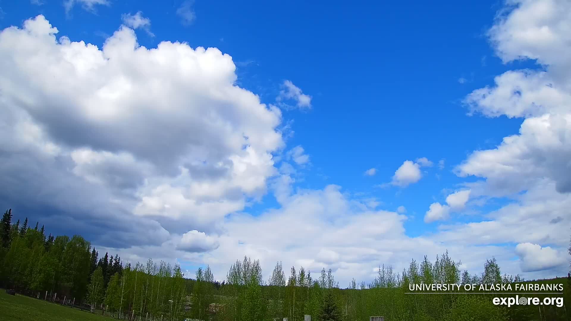 University of Alaska, Fairbanks North Star Northern Lights / Aurora Borealis / Stars View Live Cam - Faibanks, Fairbanks North Star, Alaska, USA