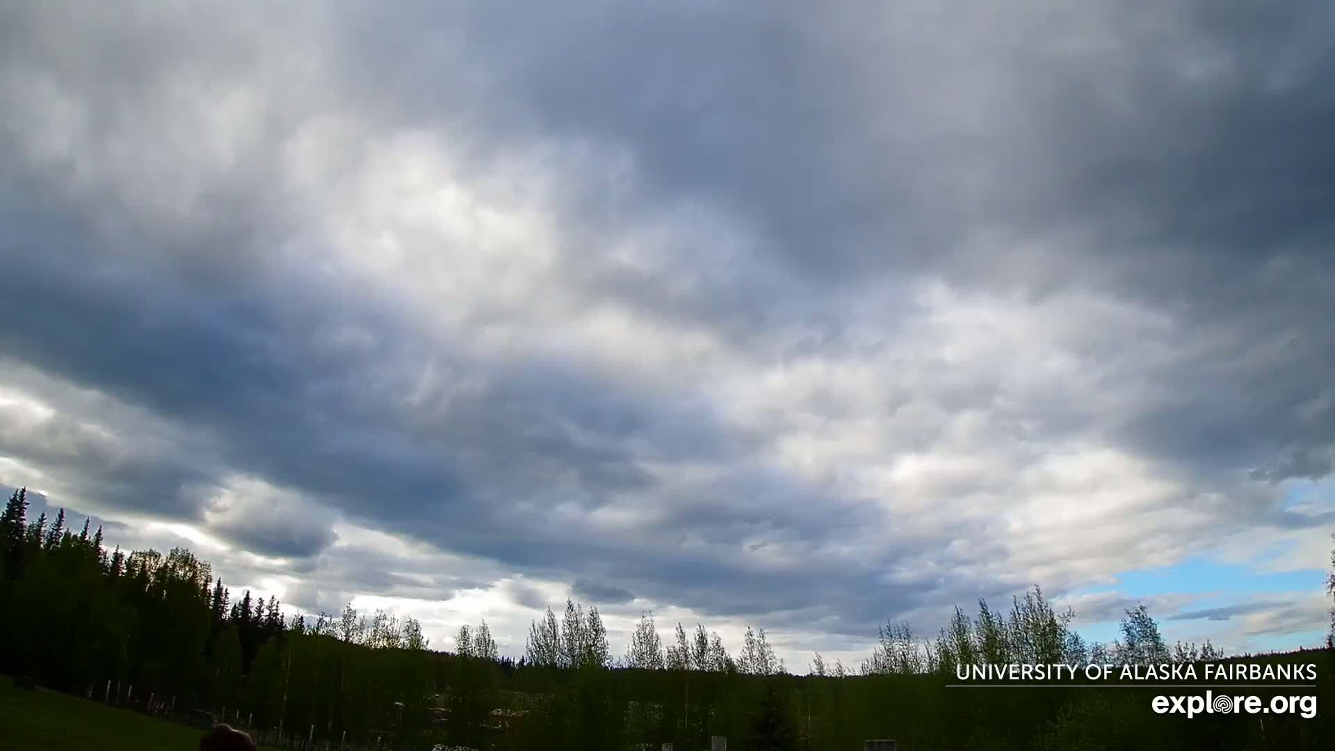 University of Alaska, Fairbanks North Star Northern Lights / Aurora Borealis / Stars View Live Cam - Faibanks, Fairbanks North Star, Alaska, USA