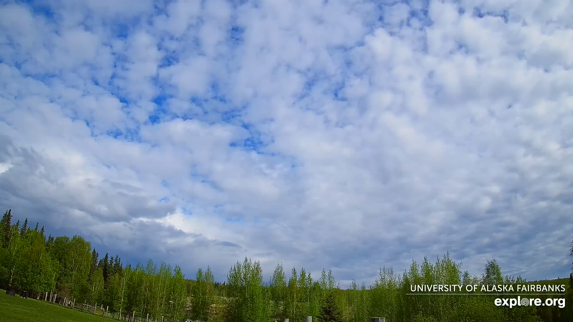 A mostly cloudy sky with patches of blue above a line of green trees and grass.