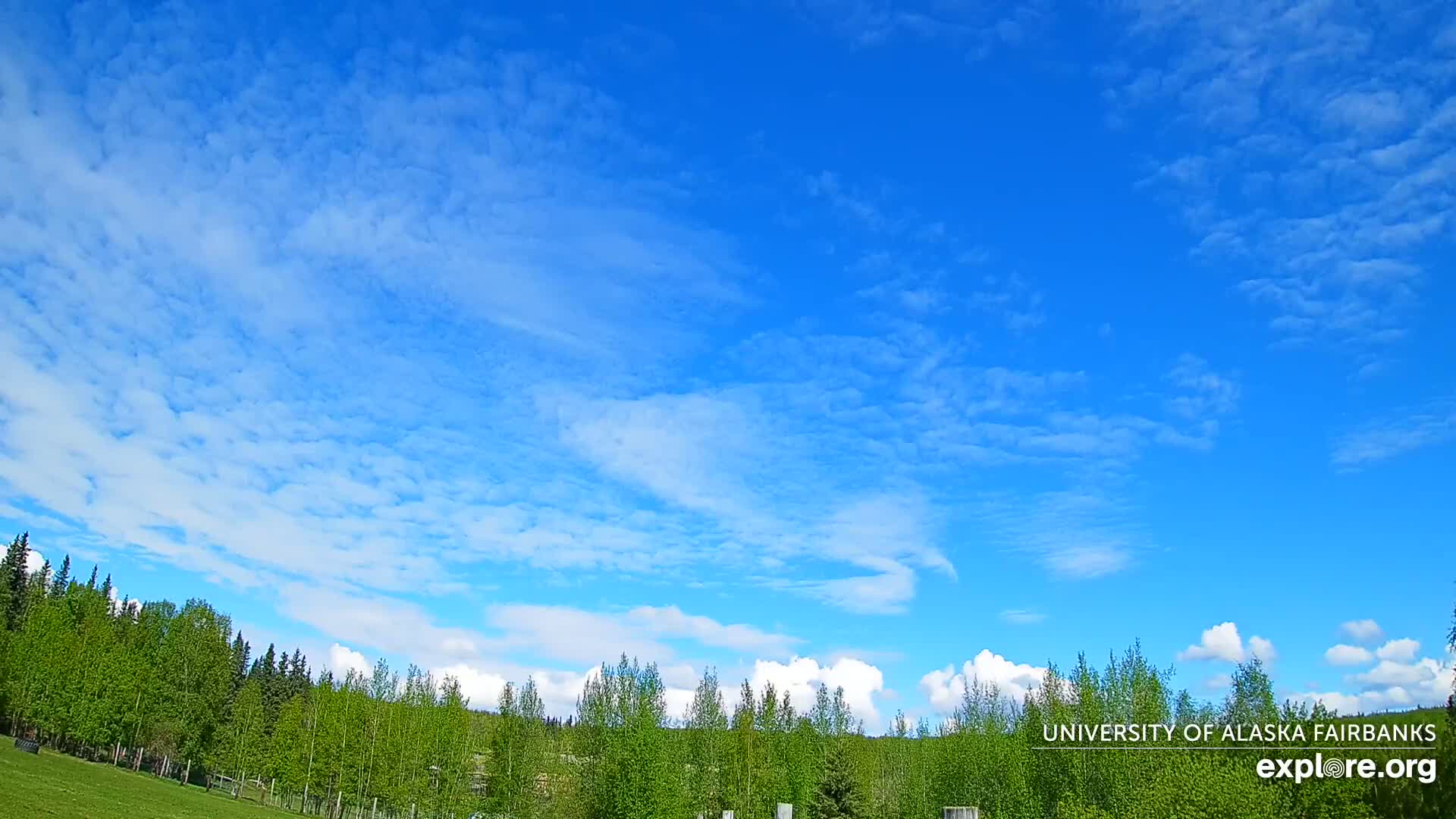 University of Alaska, Fairbanks North Star Northern Lights / Aurora Borealis / Stars View Live Cam - Faibanks, Fairbanks North Star, Alaska, USA