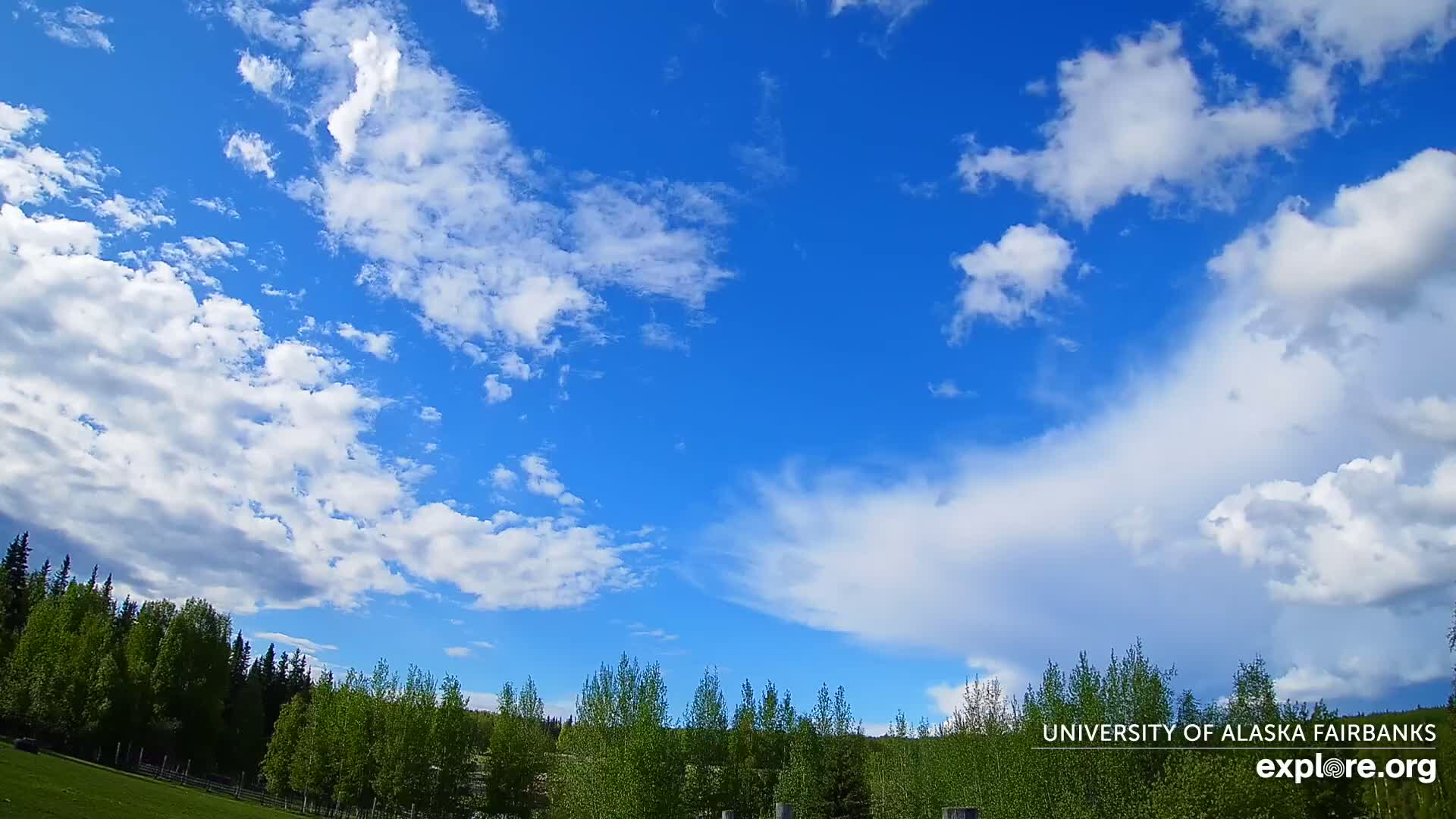 University of Alaska, Fairbanks North Star Northern Lights / Aurora Borealis / Stars View Live Cam - Faibanks, Fairbanks North Star, Alaska, USA
