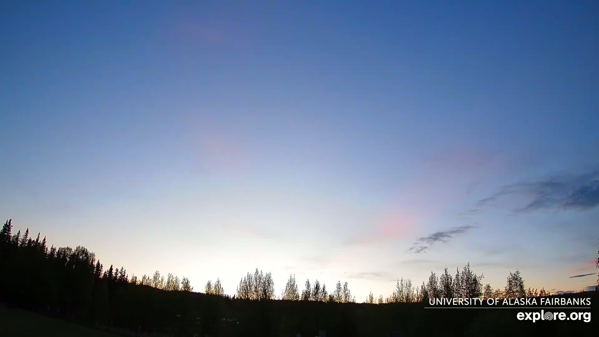 A mostly clear, twilight sky above a dark silhouetted line of trees.