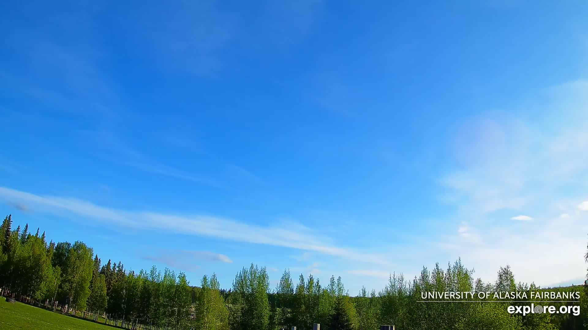 A mostly clear, bright blue sky with thin, wispy clouds above a line of green trees and grass.