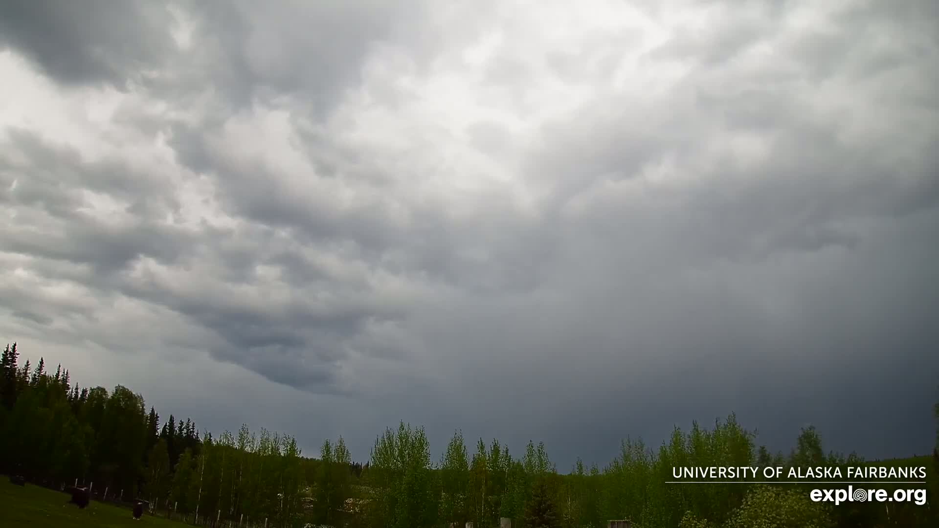 University of Alaska, Fairbanks North Star Northern Lights / Aurora Borealis / Stars View Live Cam - Faibanks, Fairbanks North Star, Alaska, USA