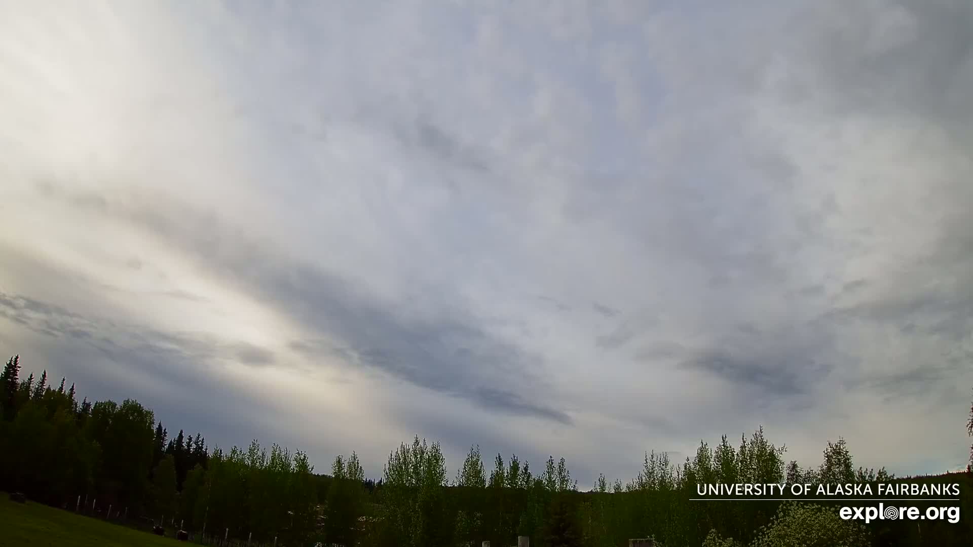 A mostly cloudy sky, with a lighter area near the horizon, hangs over a line of green trees and a grassy field.