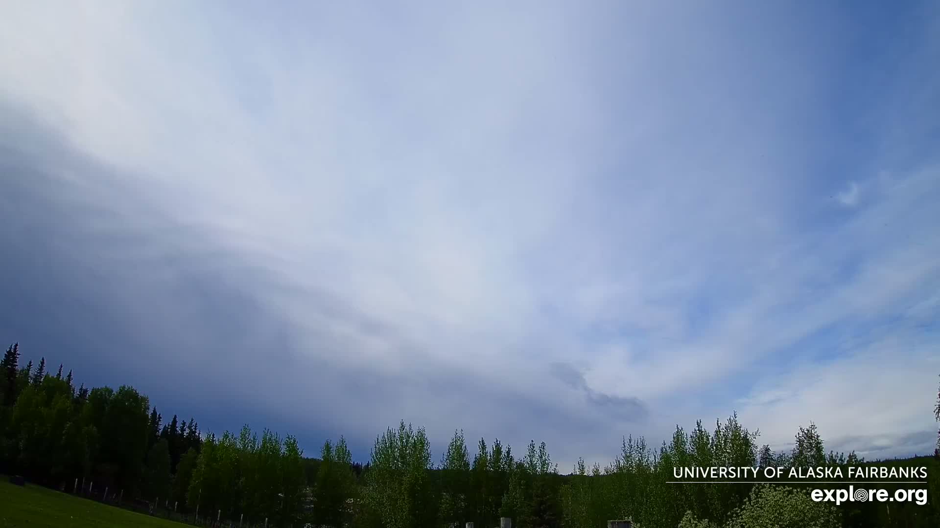 A mostly cloudy sky with a line of dark clouds on the horizon hangs over a field and a line of green trees.