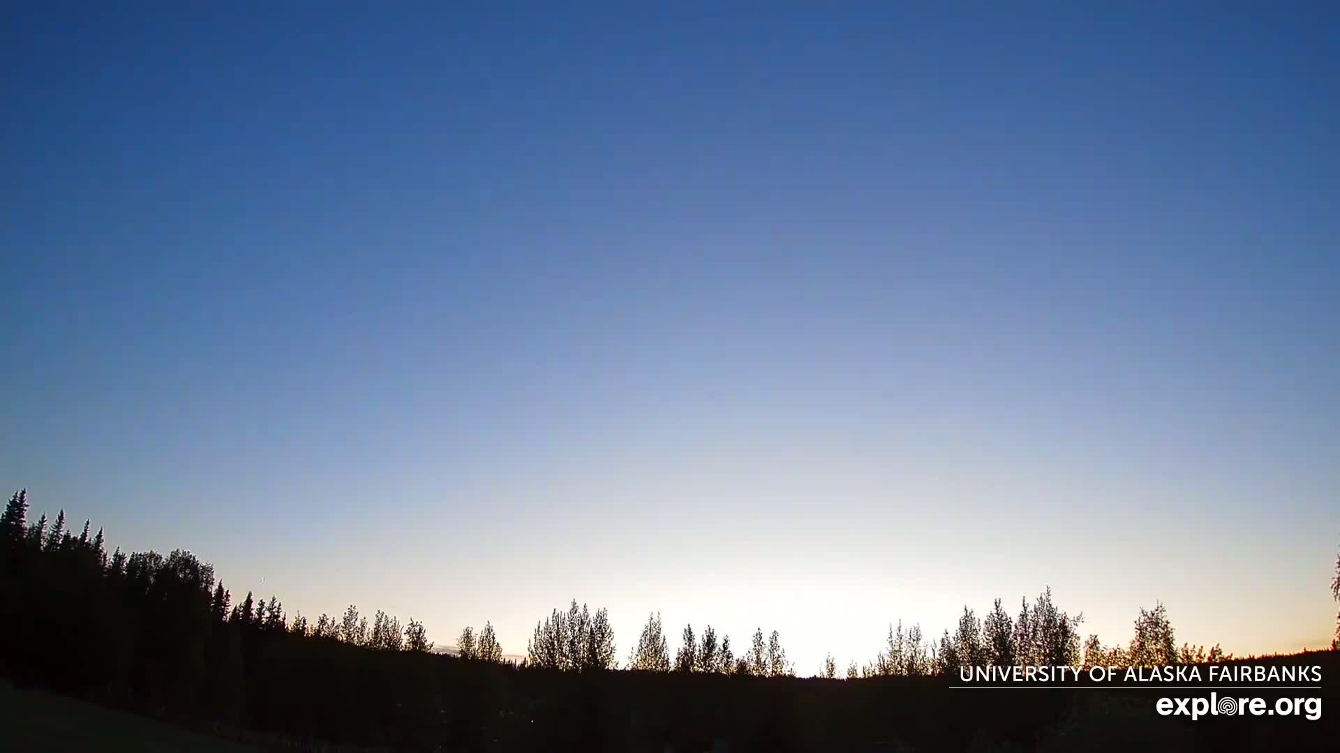 A clear, twilight sky over a silhouetted line of trees.