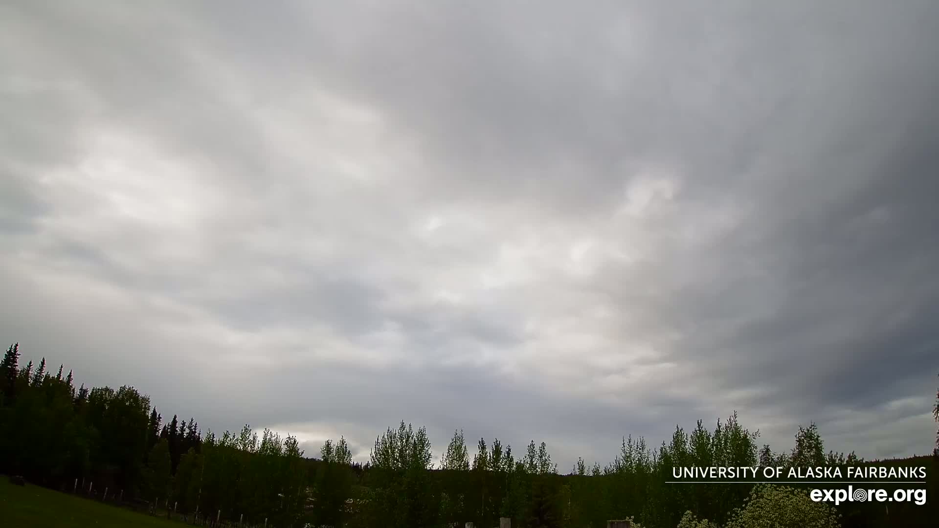 A mostly cloudy sky hangs over a line of dark green trees bordering a grassy field.