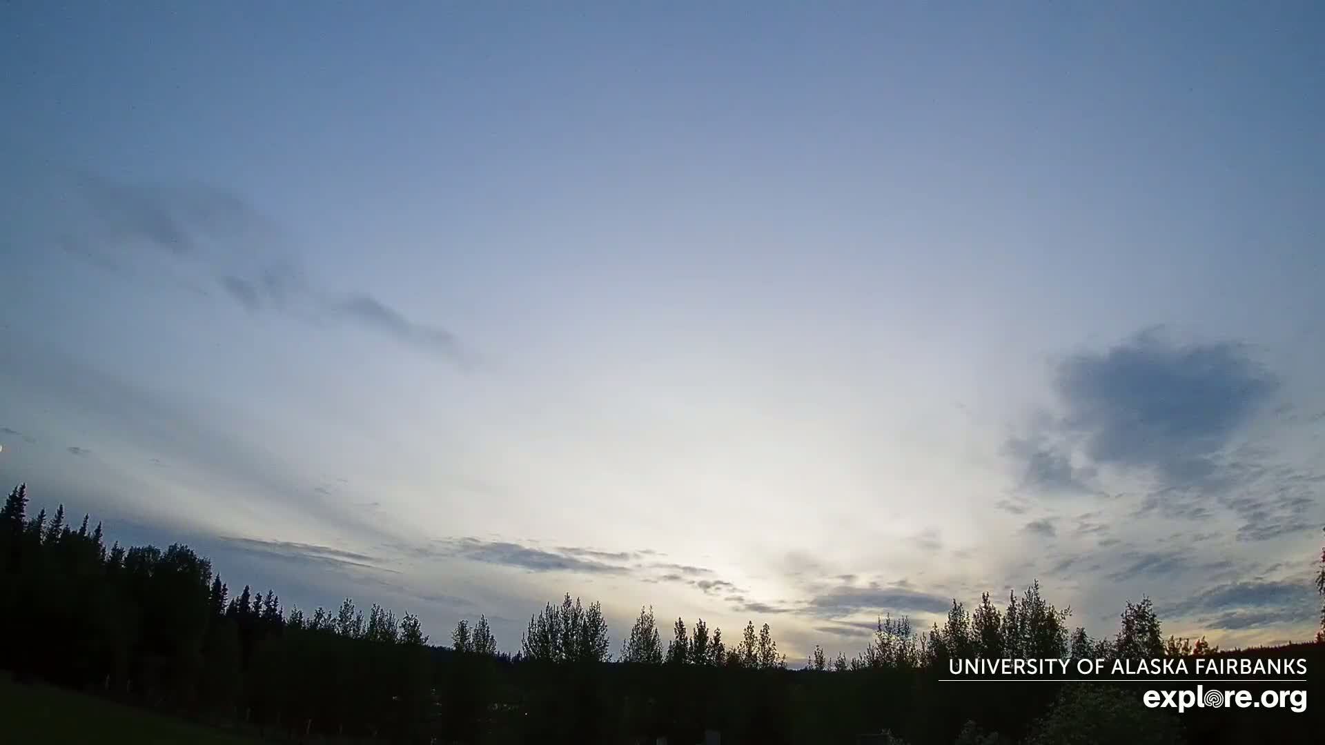 A mostly clear, light blue sky with a few wispy clouds and a bright horizon illuminates a dark line of trees at sunset.