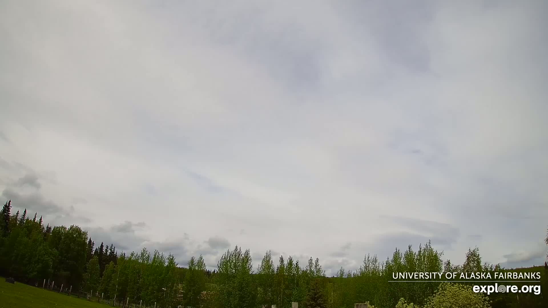 A mostly cloudy sky hangs over a line of green trees and a grassy field.