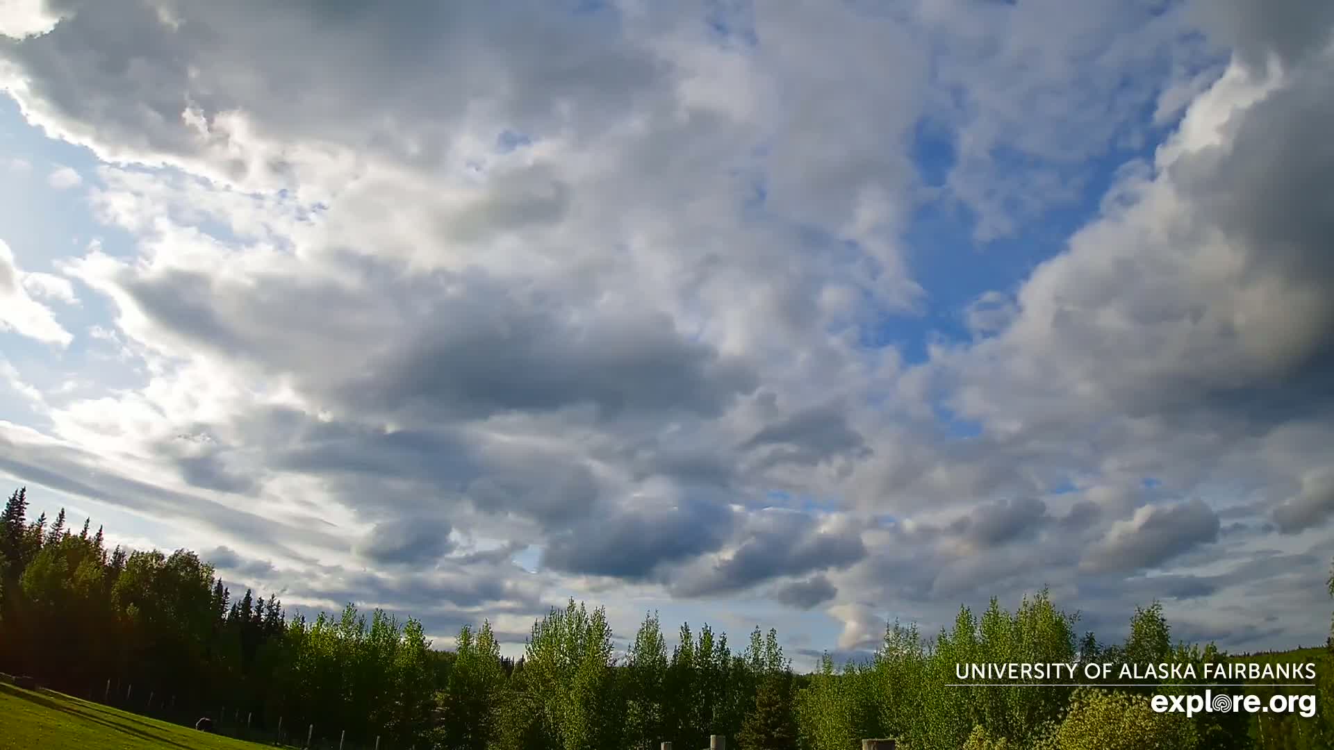 University of Alaska, Fairbanks North Star Northern Lights / Aurora Borealis / Stars View Live Cam - Faibanks, Fairbanks North Star, Alaska, USA