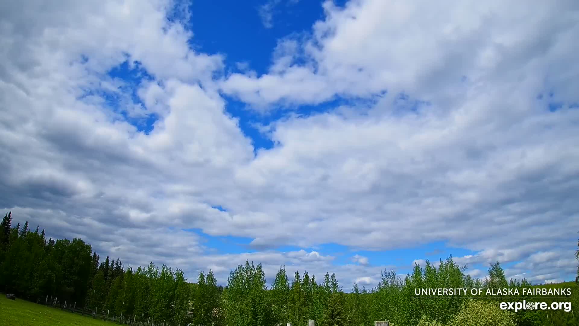 A mostly cloudy sky with patches of blue, above a line of green trees and a grassy field.