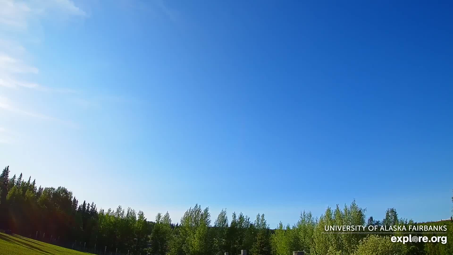 A mostly clear blue sky is above a grassy area with a line of green trees in the distance.