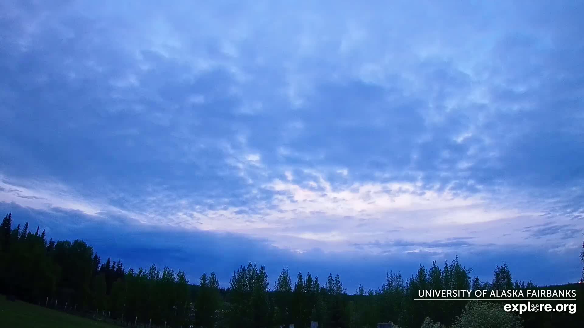 A mostly cloudy, twilight sky above a dark line of trees.