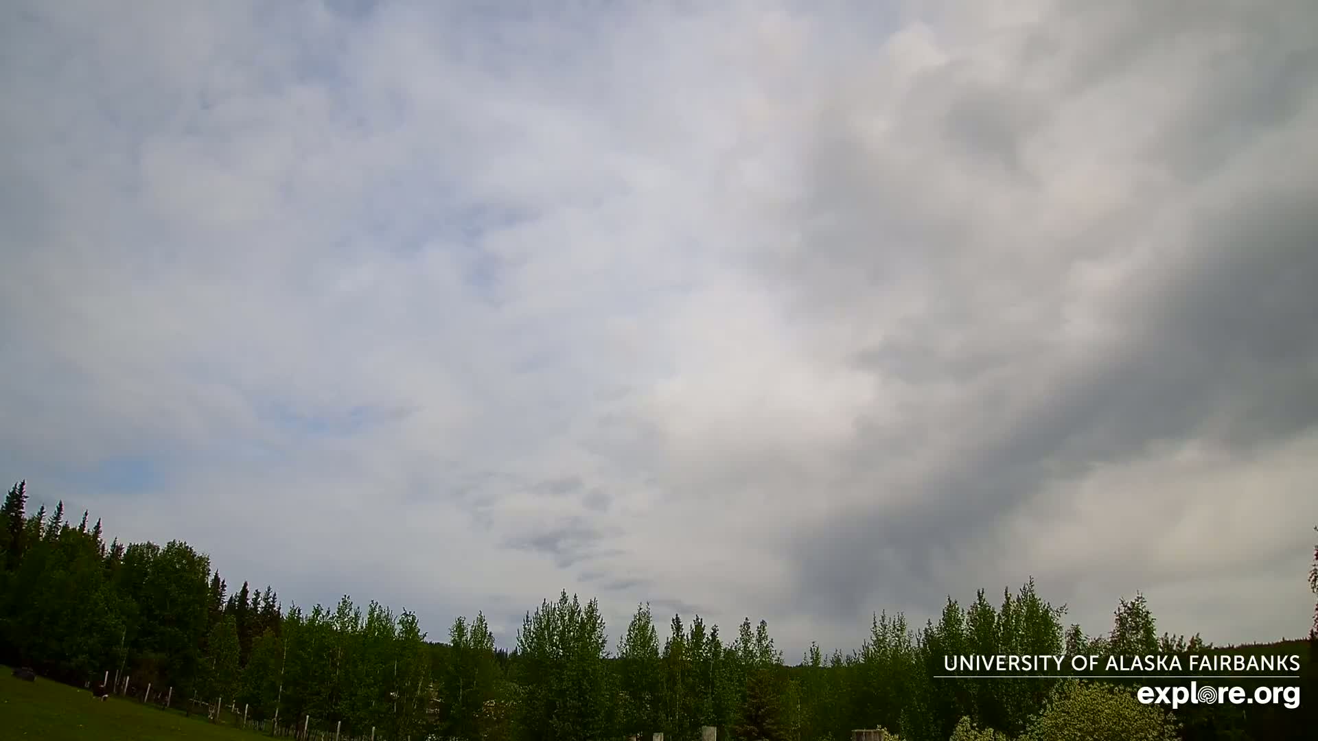 A mostly cloudy sky hangs over a line of green trees and a grassy field.