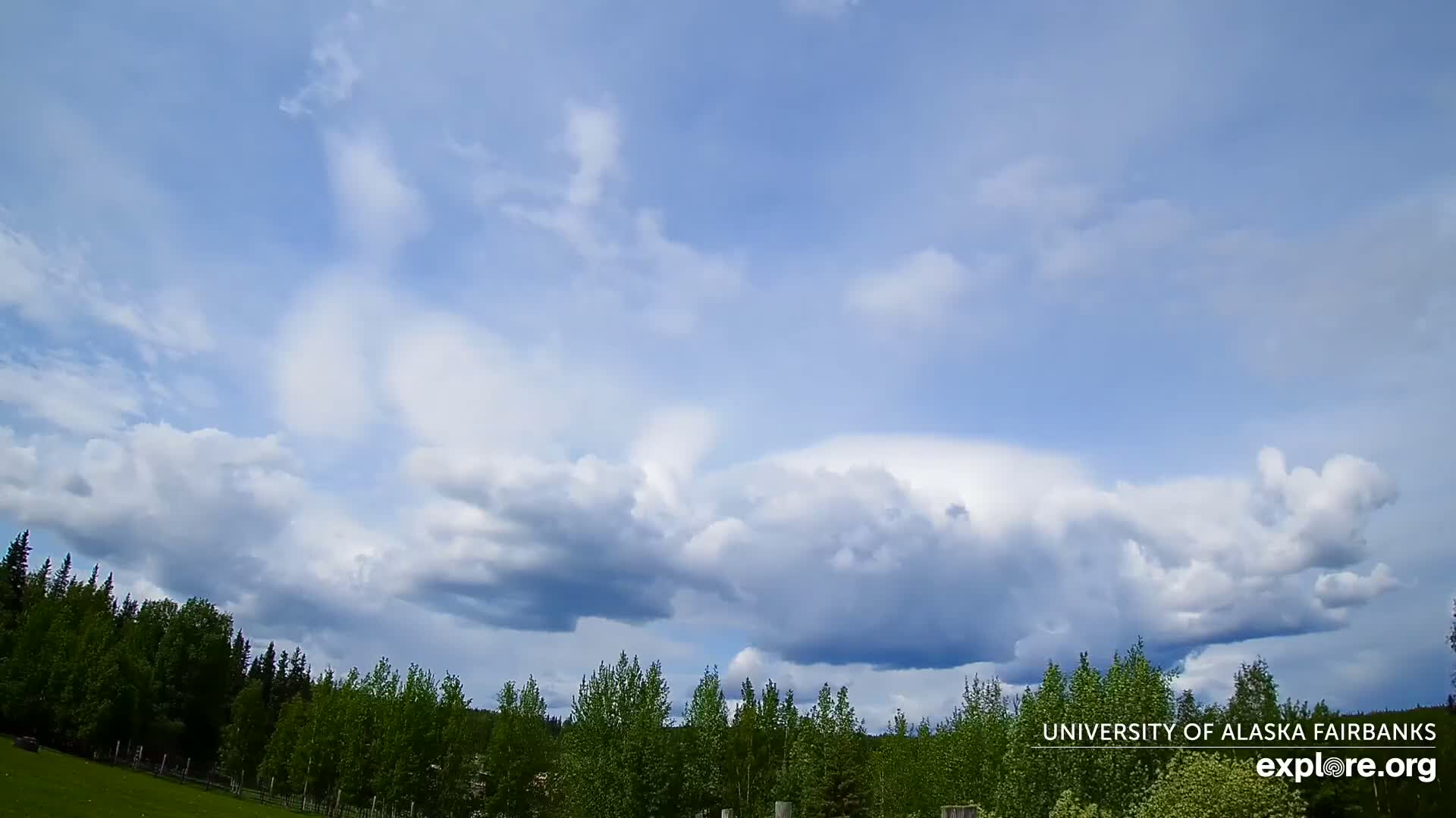 A partly cloudy sky with puffy cumulus clouds over a line of green trees.