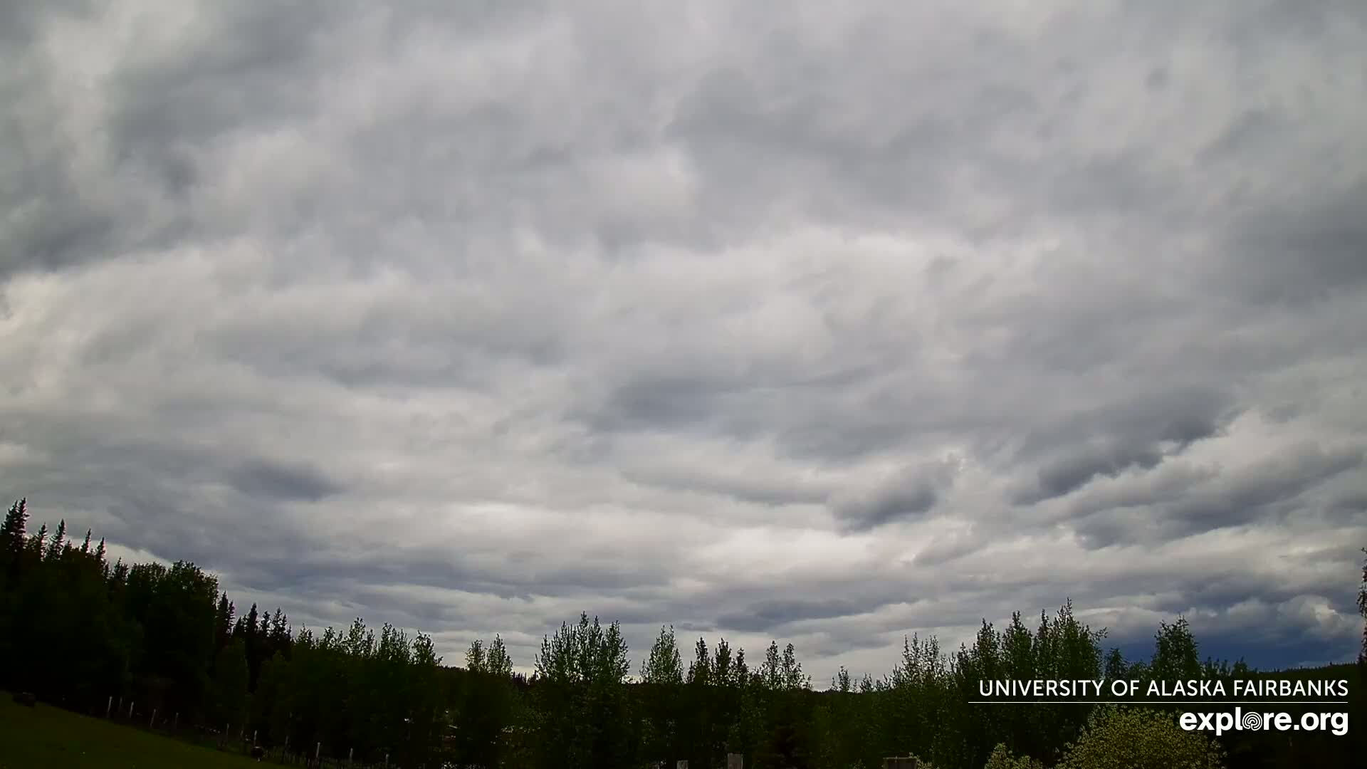 A mostly cloudy sky hangs over a line of dark green trees and a grassy field.