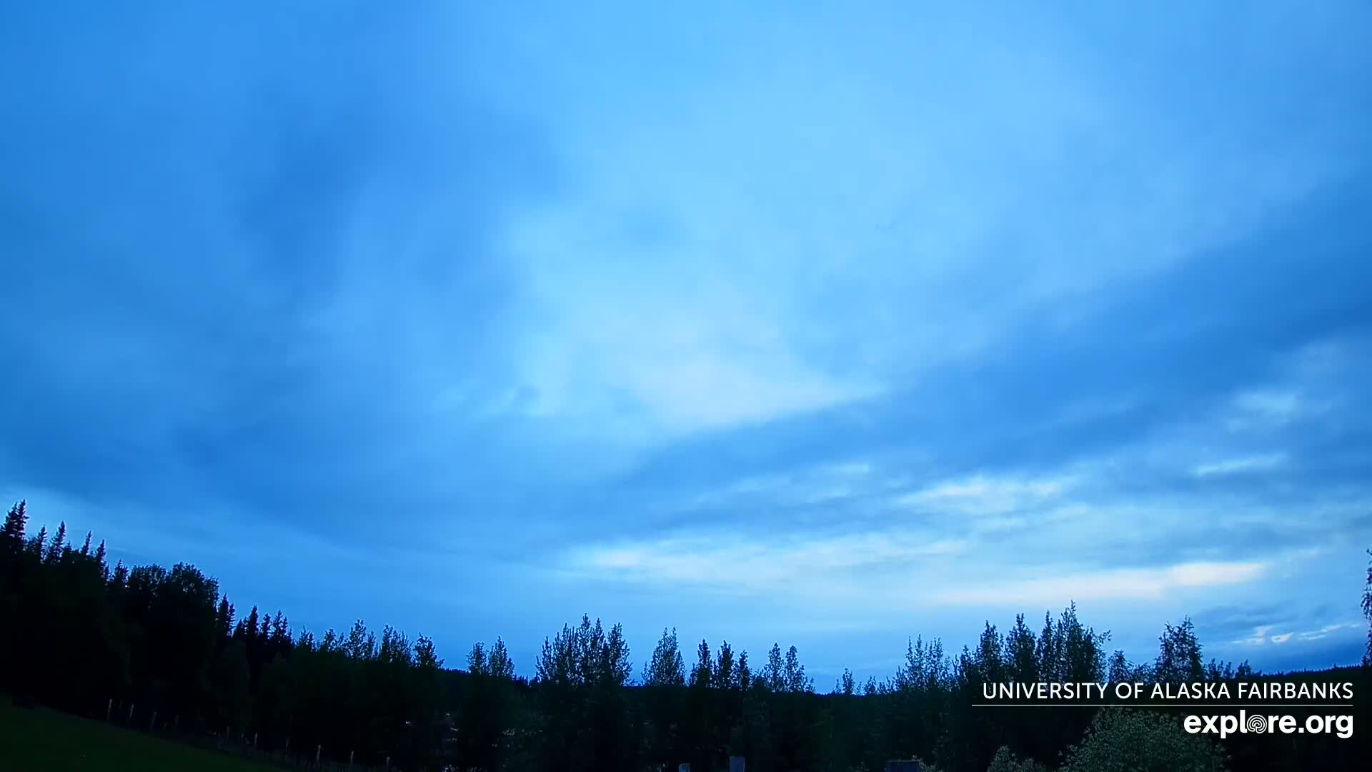 A mostly clear, light blue sky with a few thin clouds hangs over a dark silhouetted line of trees.