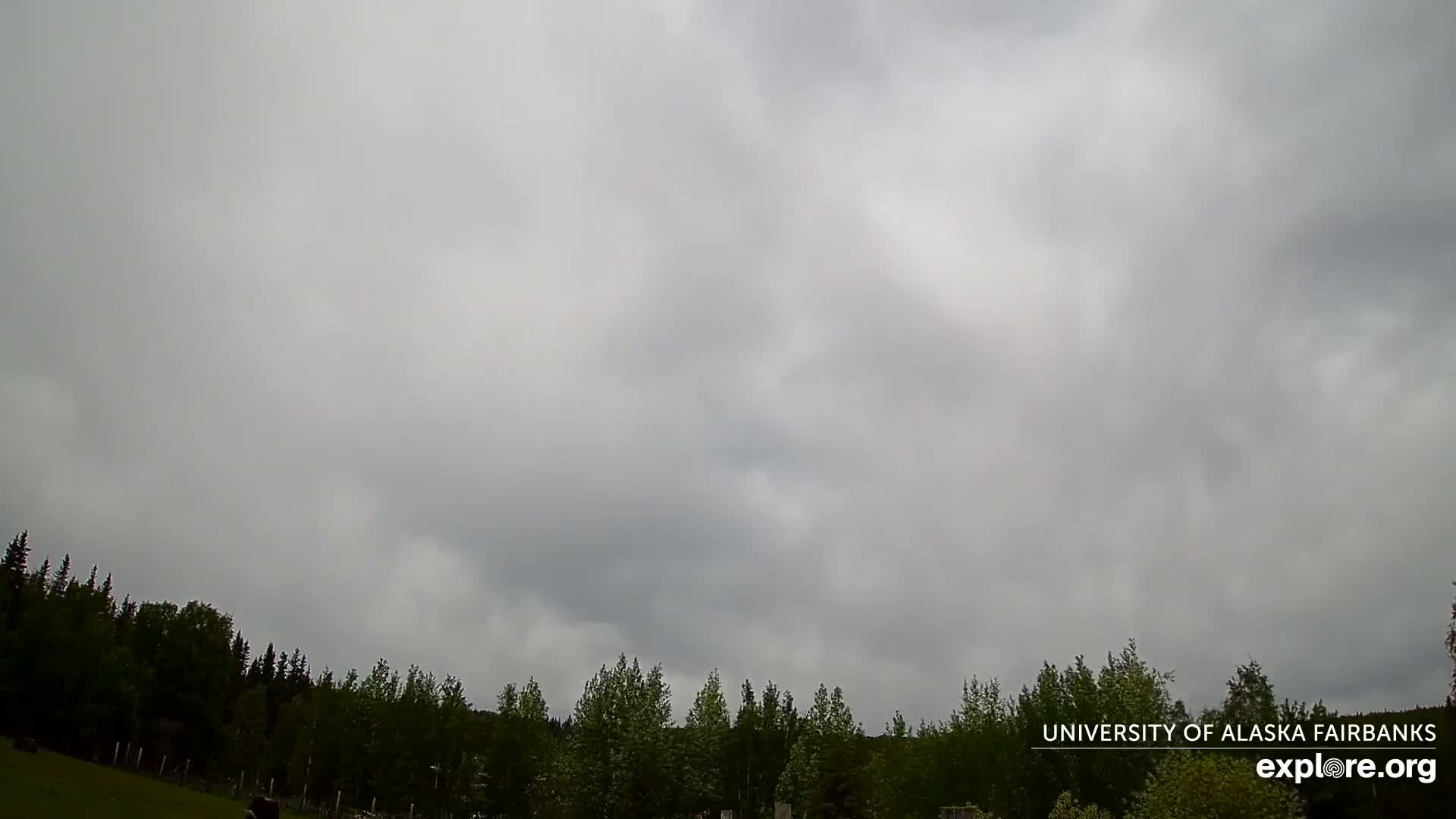A mostly cloudy sky hangs over a line of dark green trees bordering a grassy field.