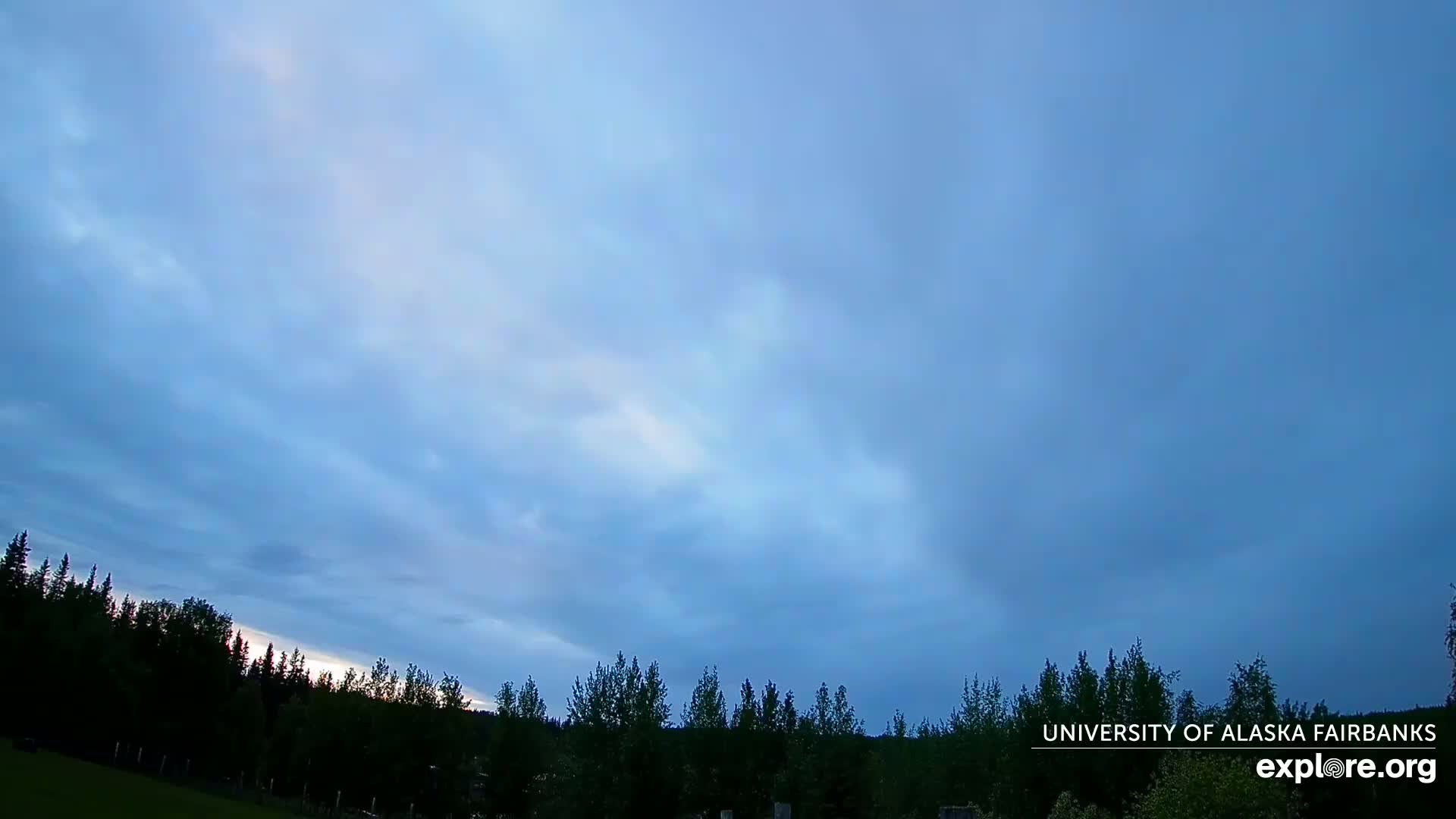 A mostly cloudy, dusky sky hangs over a line of dark evergreen trees and a grassy field.