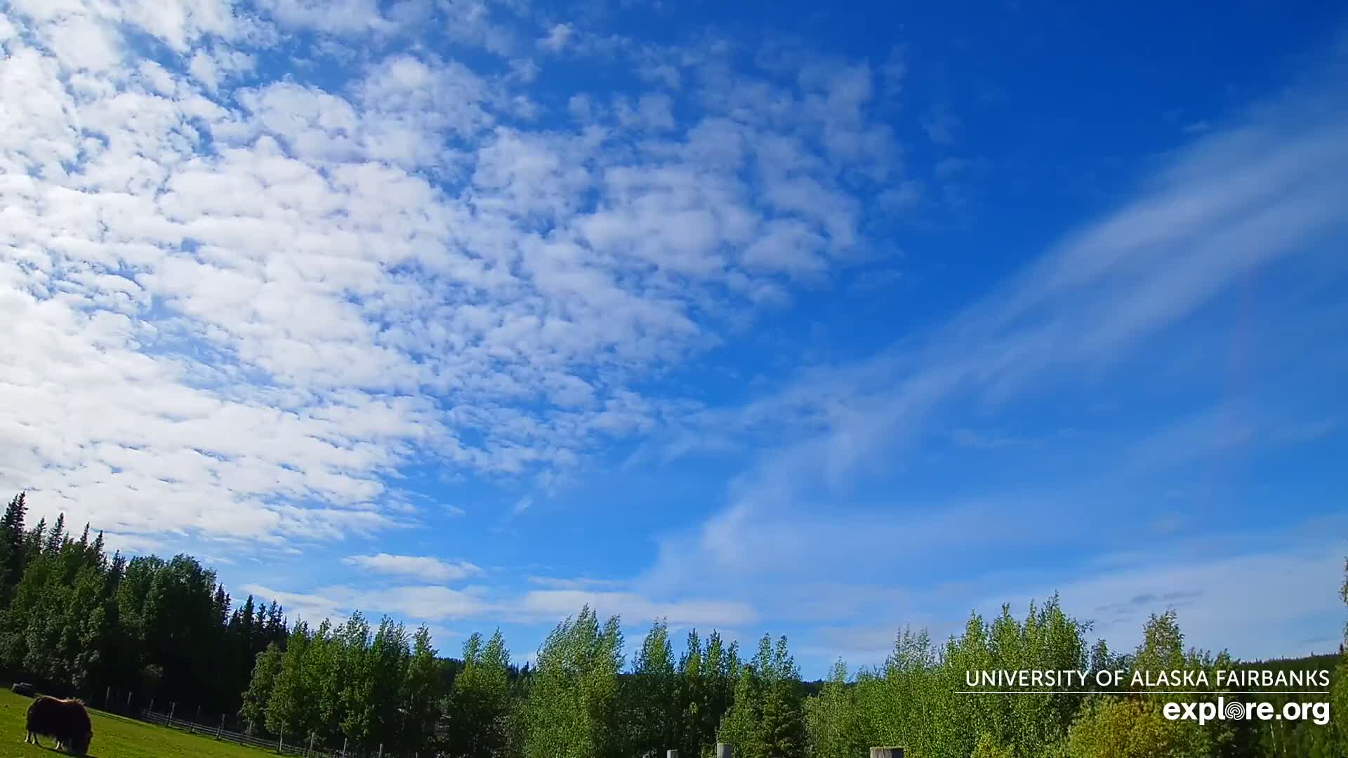University of Alaska, Fairbanks North Star Northern Lights / Aurora Borealis / Stars View Live Cam - Faibanks, Fairbanks North Star, Alaska, USA