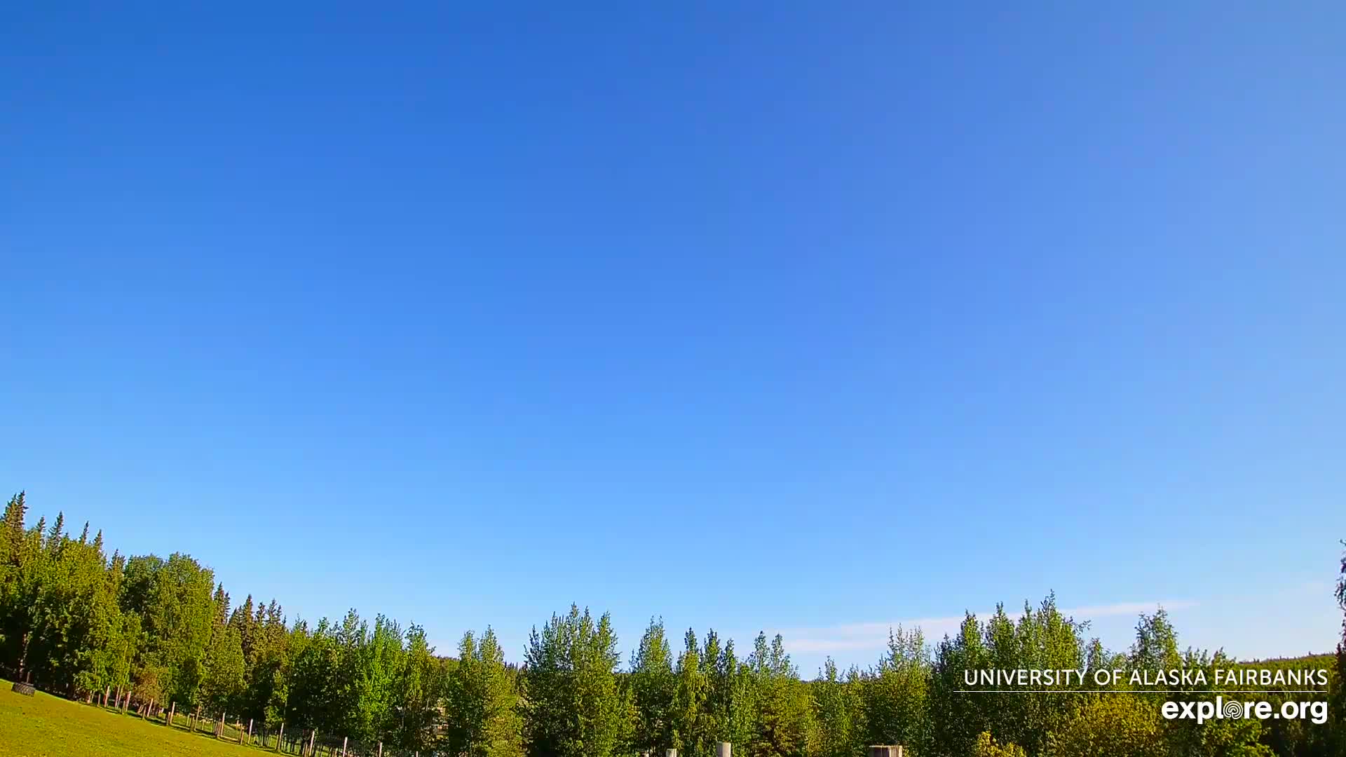 A mostly clear blue sky is over a line of green trees and a grassy area.