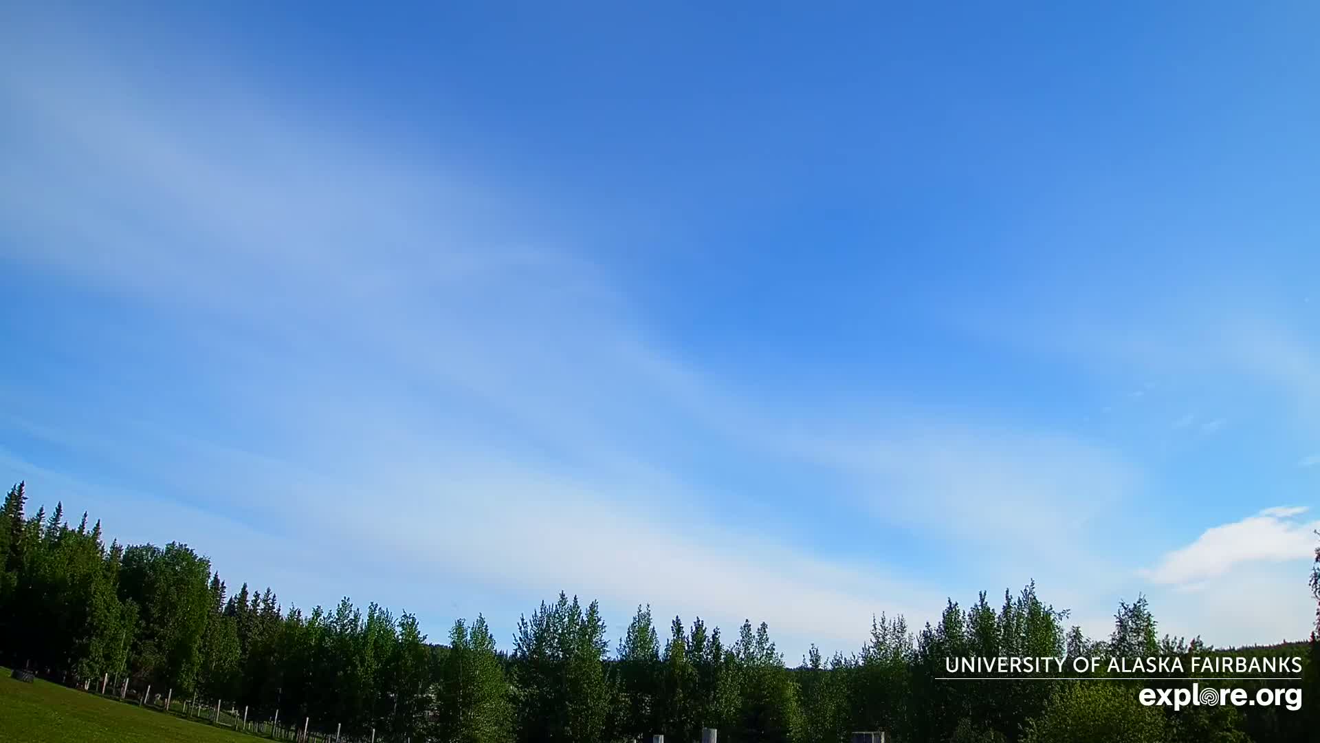 A mostly clear blue sky with thin, wispy clouds stretches over a line of green trees.