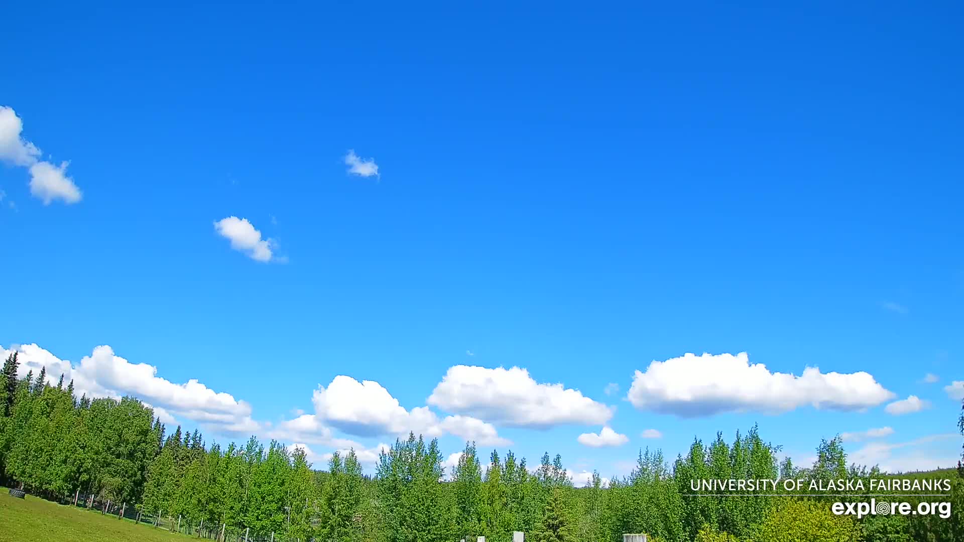 University of Alaska, Fairbanks North Star Northern Lights / Aurora Borealis / Stars View Live Cam - Faibanks, Fairbanks North Star, Alaska, USA