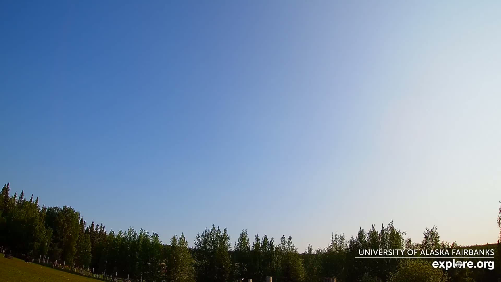 A clear blue sky is visible above a line of green trees.