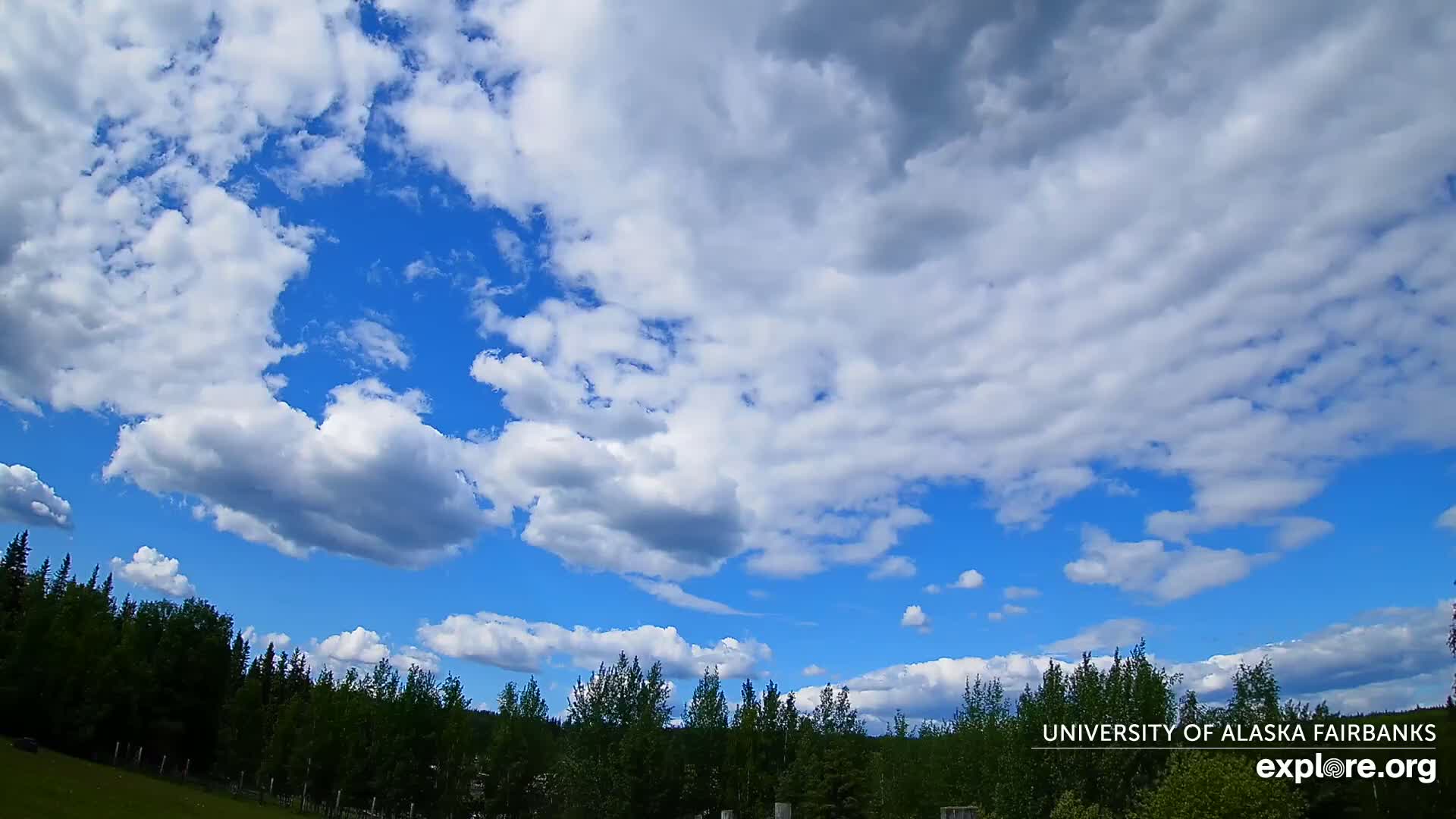 University of Alaska, Fairbanks North Star Northern Lights / Aurora Borealis / Stars View Live Cam - Faibanks, Fairbanks North Star, Alaska, USA