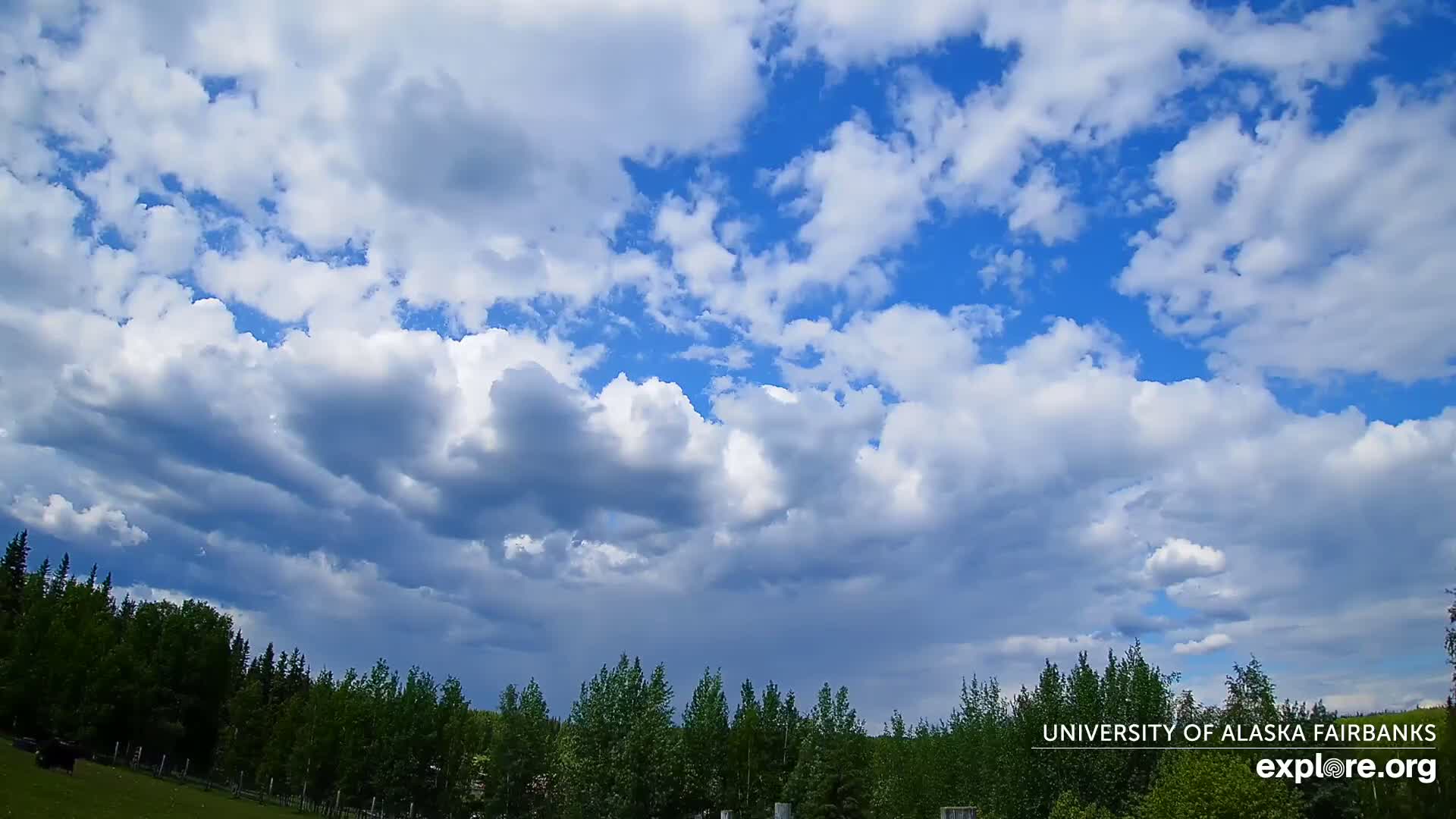 University of Alaska, Fairbanks North Star Northern Lights / Aurora Borealis / Stars View Live Cam - Faibanks, Fairbanks North Star, Alaska, USA