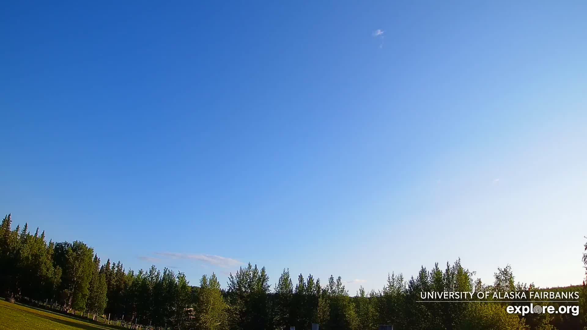 A mostly clear blue sky is visible above a line of green trees and a grassy field.