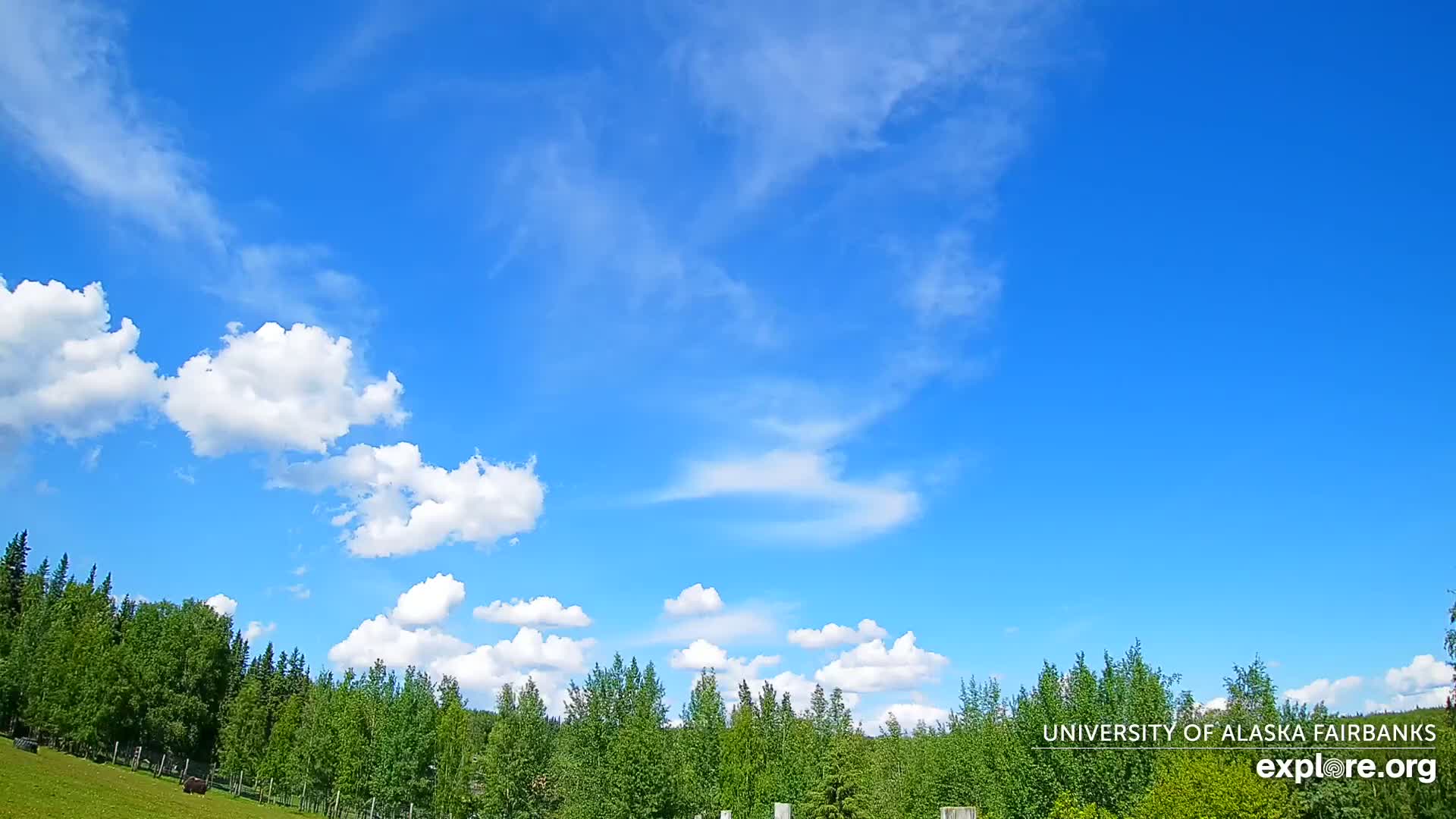 University of Alaska, Fairbanks North Star Northern Lights / Aurora Borealis / Stars View Live Cam - Faibanks, Fairbanks North Star, Alaska, USA