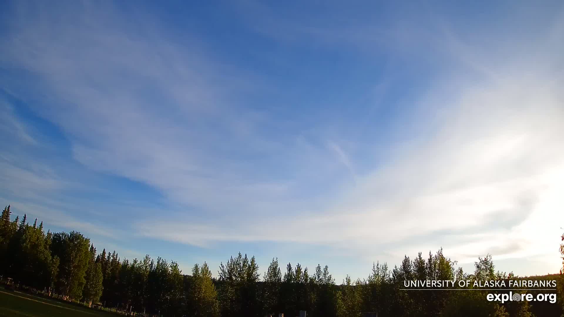 A line of evergreen trees sits below a mostly clear blue sky with thin, wispy clouds.