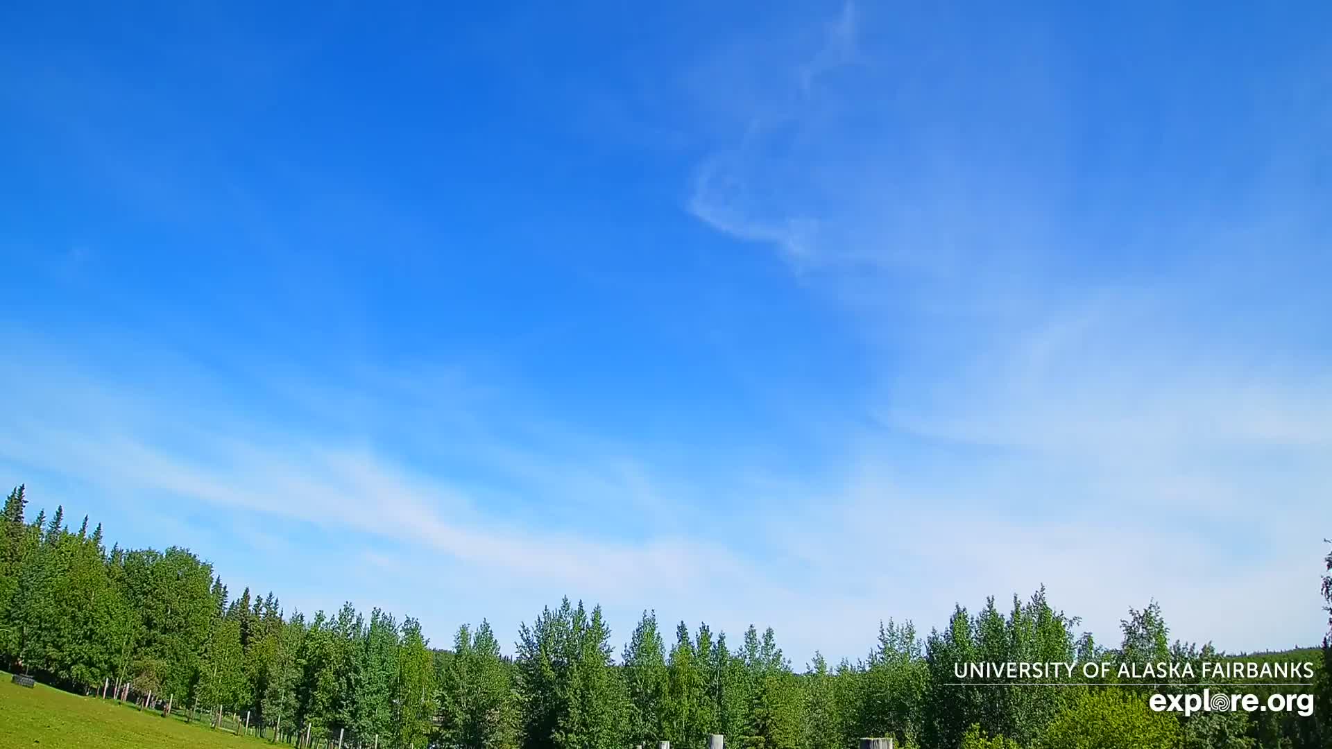 A mostly clear blue sky with wispy clouds above a line of green trees.