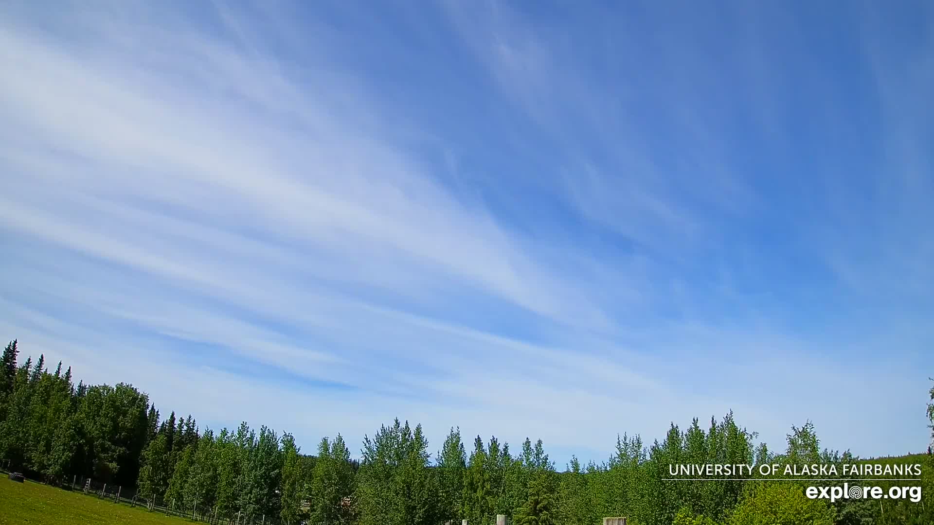 A mostly clear blue sky with wispy clouds above a line of green trees.
