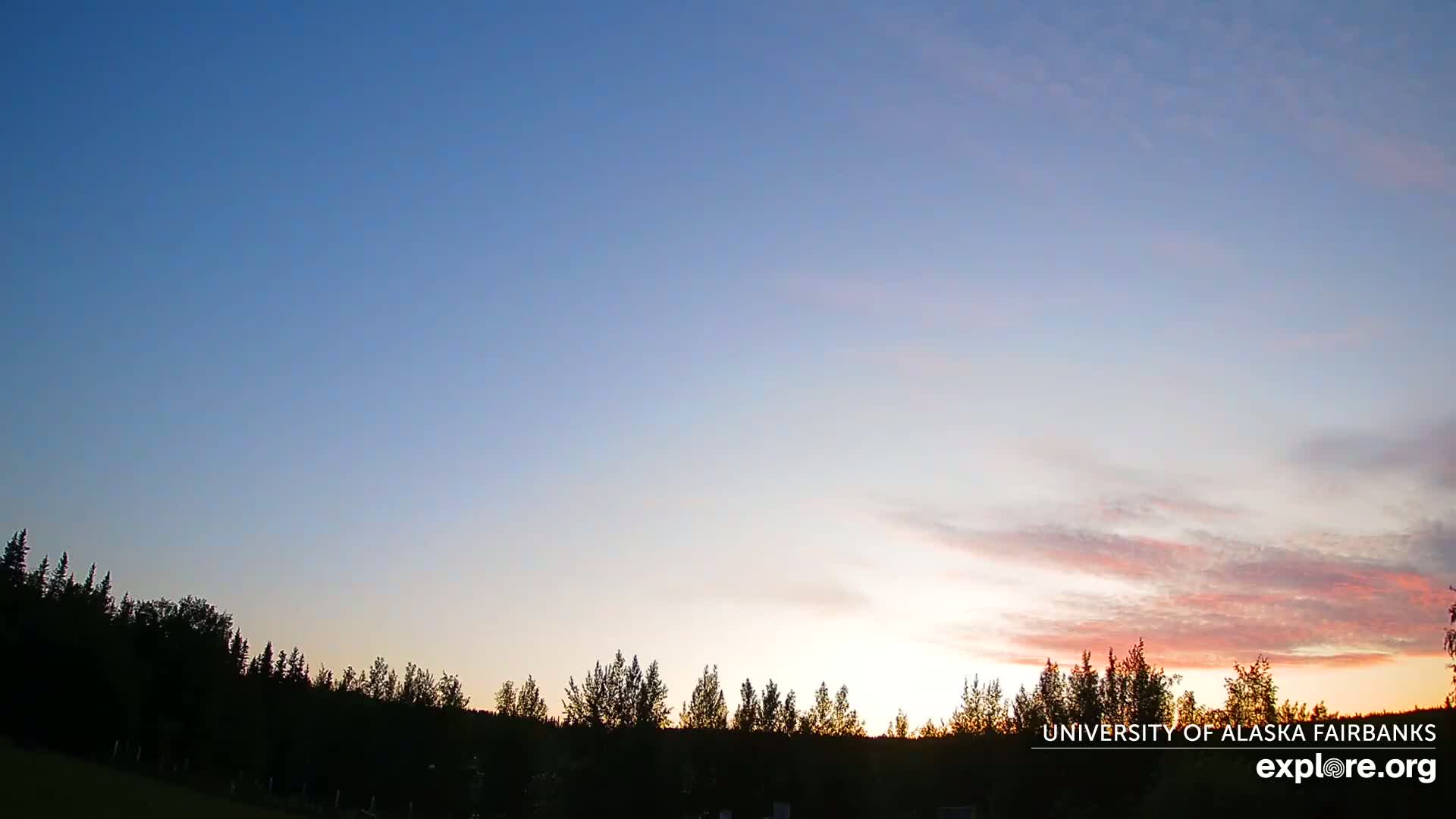 A line of silhouetted trees stretches across the bottom of the image, beneath a pale pink and blue sunset sky.