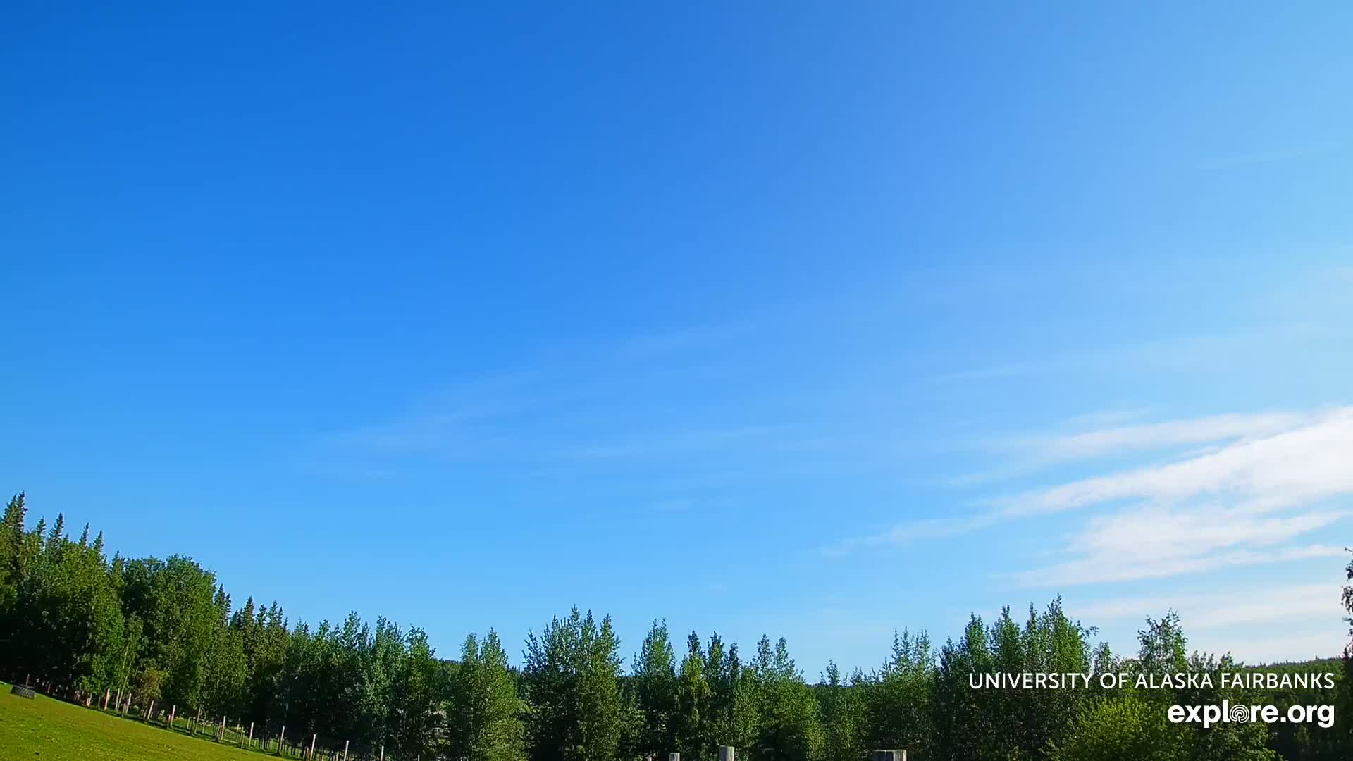 A mostly clear blue sky is over a line of green trees and a grassy field.