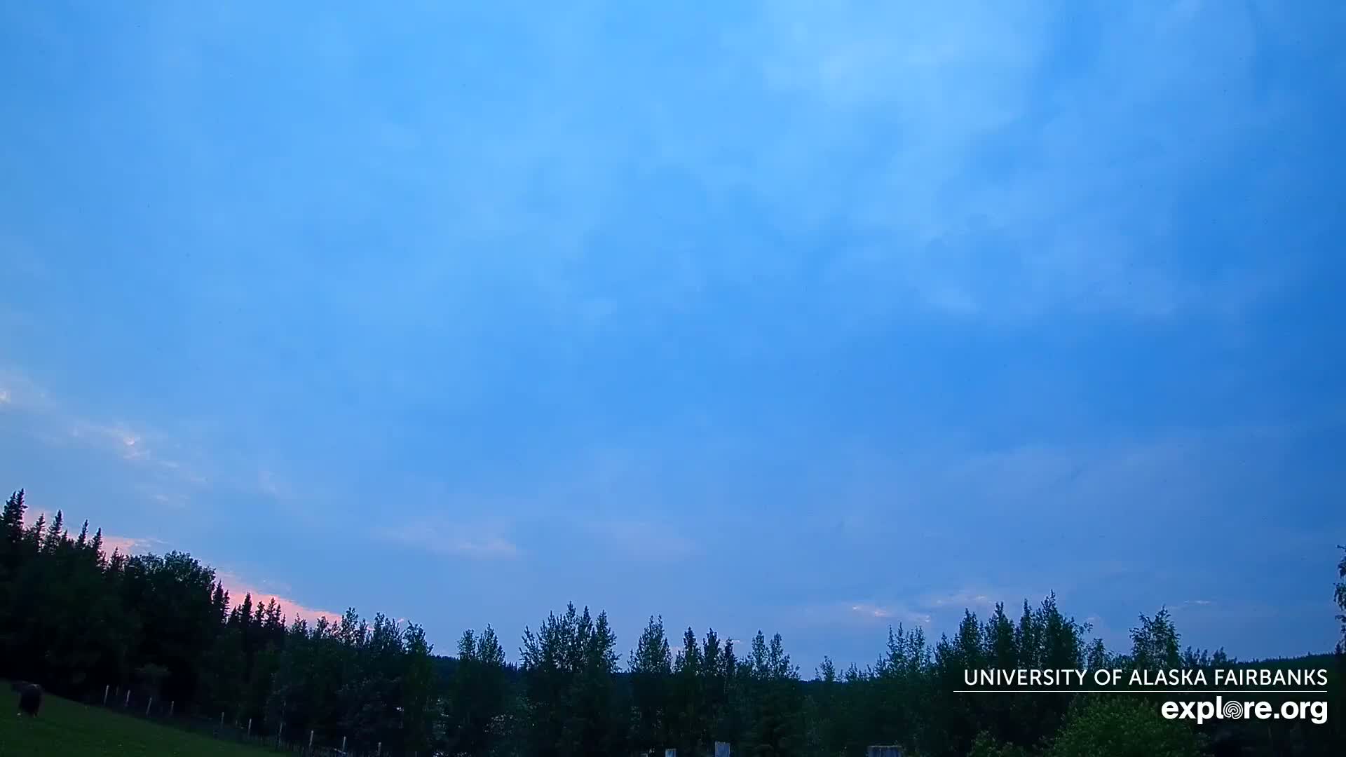 A mostly clear, light-blue sky with a few wispy clouds sits above a dark green line of trees at dusk.