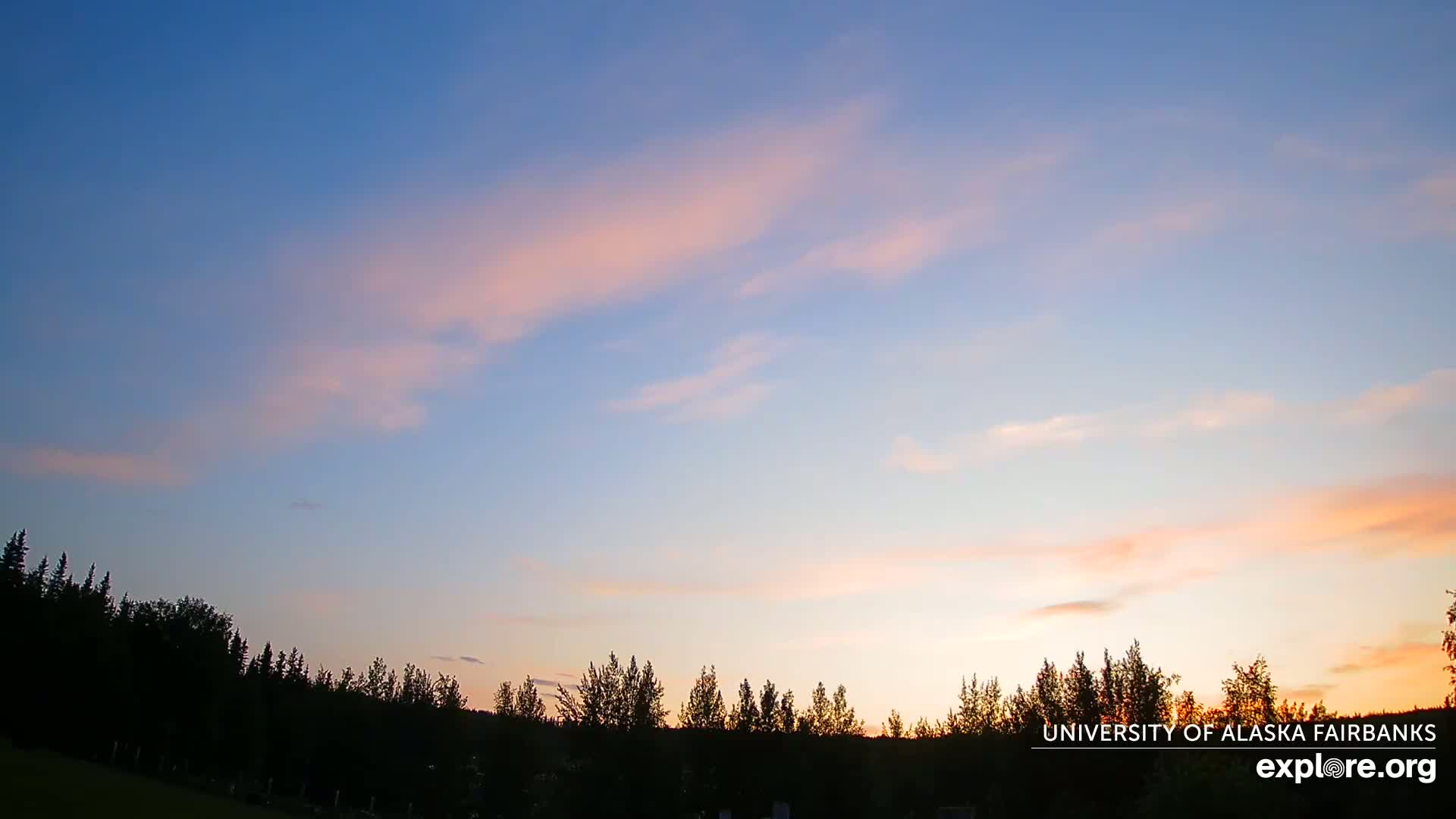 A line of silhouetted trees sits below a pastel sunset sky with wispy clouds.