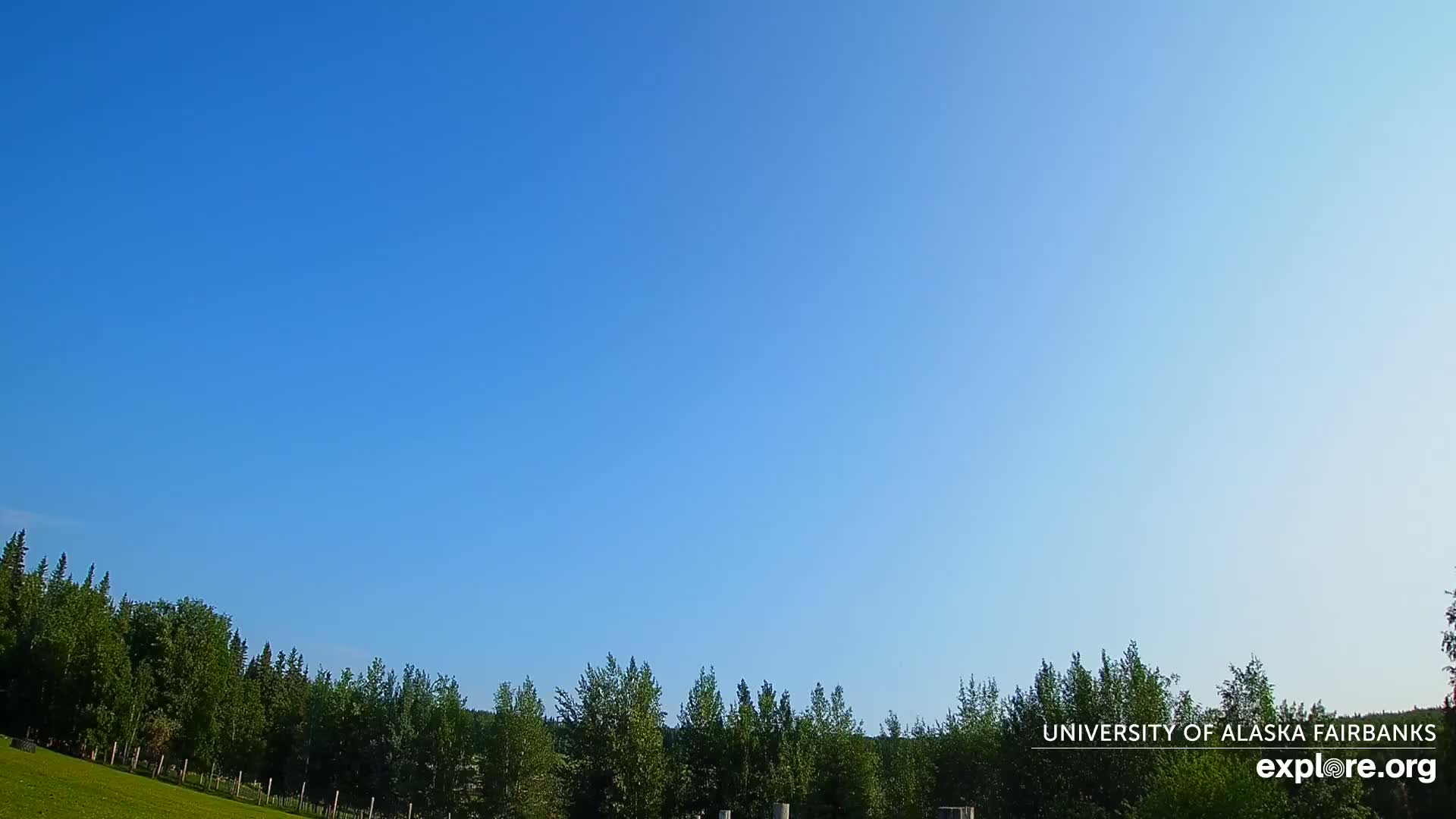 A mostly clear blue sky is above a line of green trees and a grassy field.