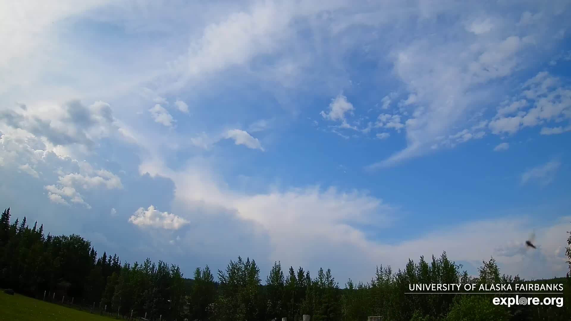 University of Alaska, Fairbanks North Star Northern Lights / Aurora Borealis / Stars View Live Cam - Faibanks, Fairbanks North Star, Alaska, USA