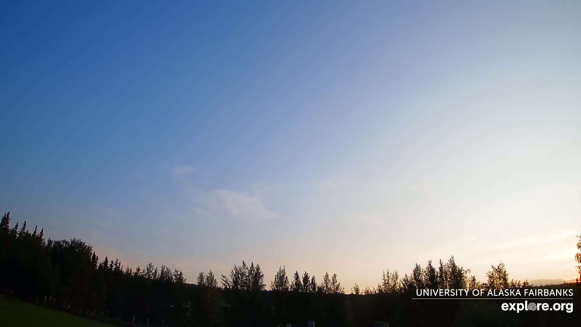 A mostly clear sunset sky over a dark line of trees.