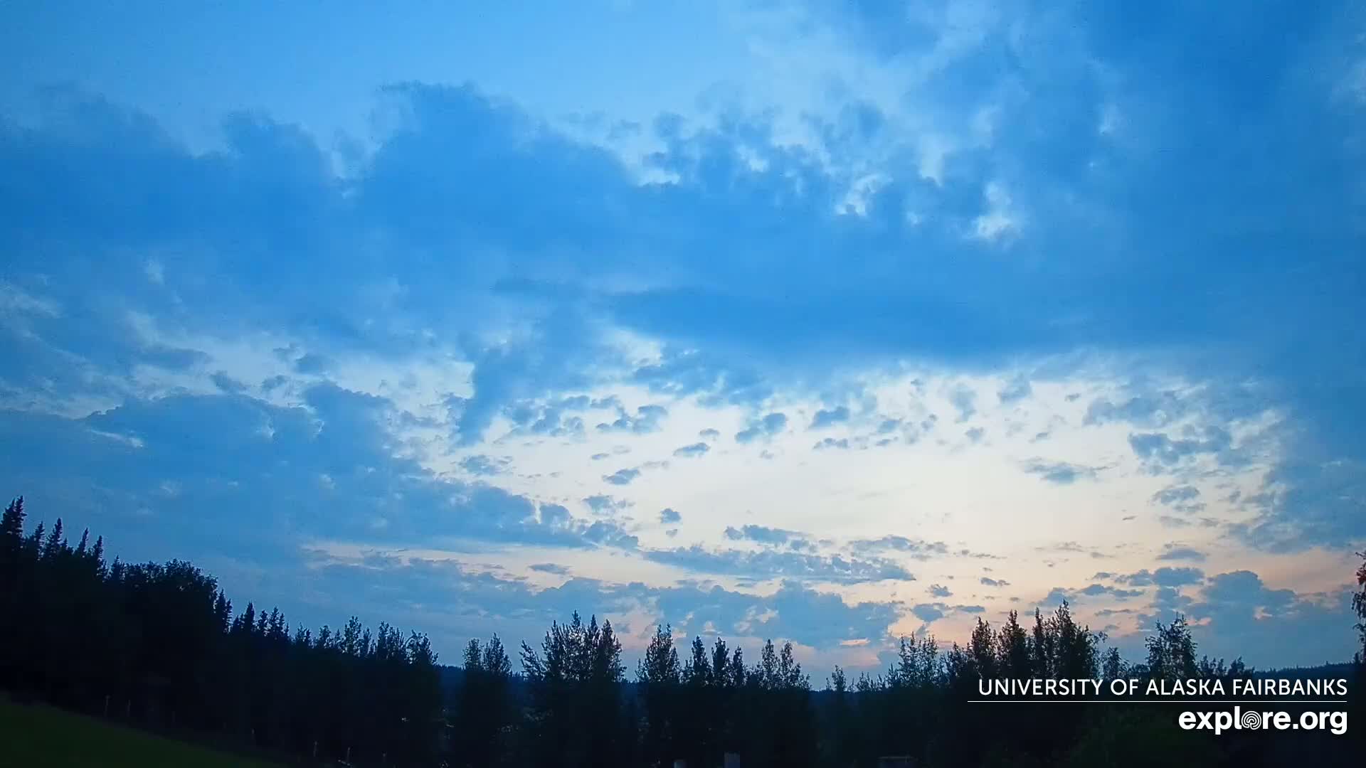 A mostly clear, light-blue sky filled with scattered cumulus clouds sits above a dark, silhouetted line of evergreen trees.