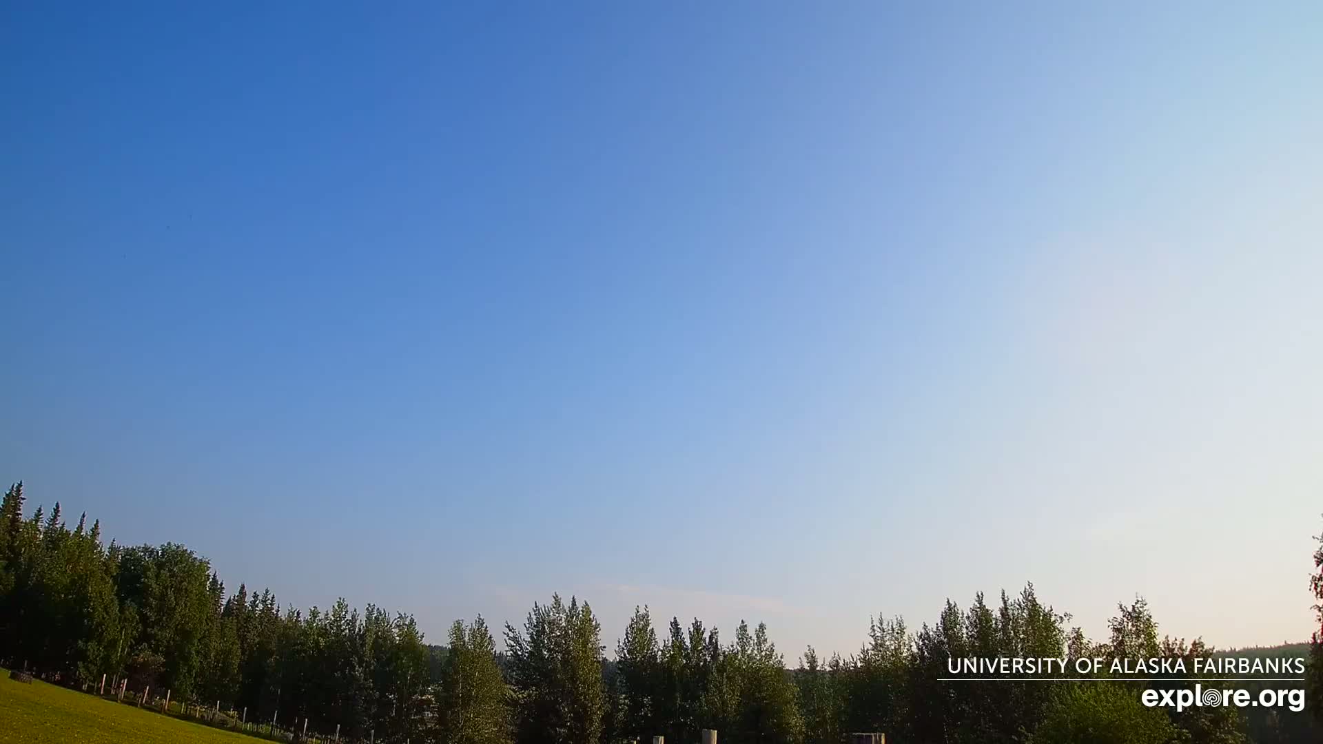 A clear blue sky is visible above a line of dark green trees bordering a grassy area.