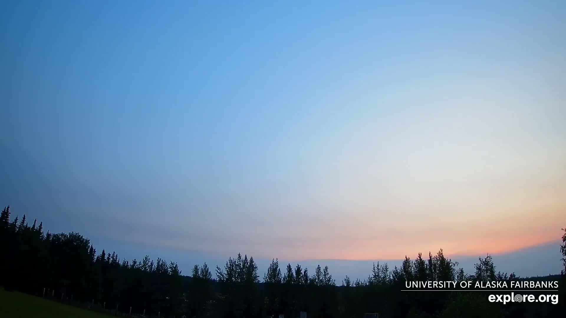 A pale pink and blue sunset over a line of dark trees under a clear sky.